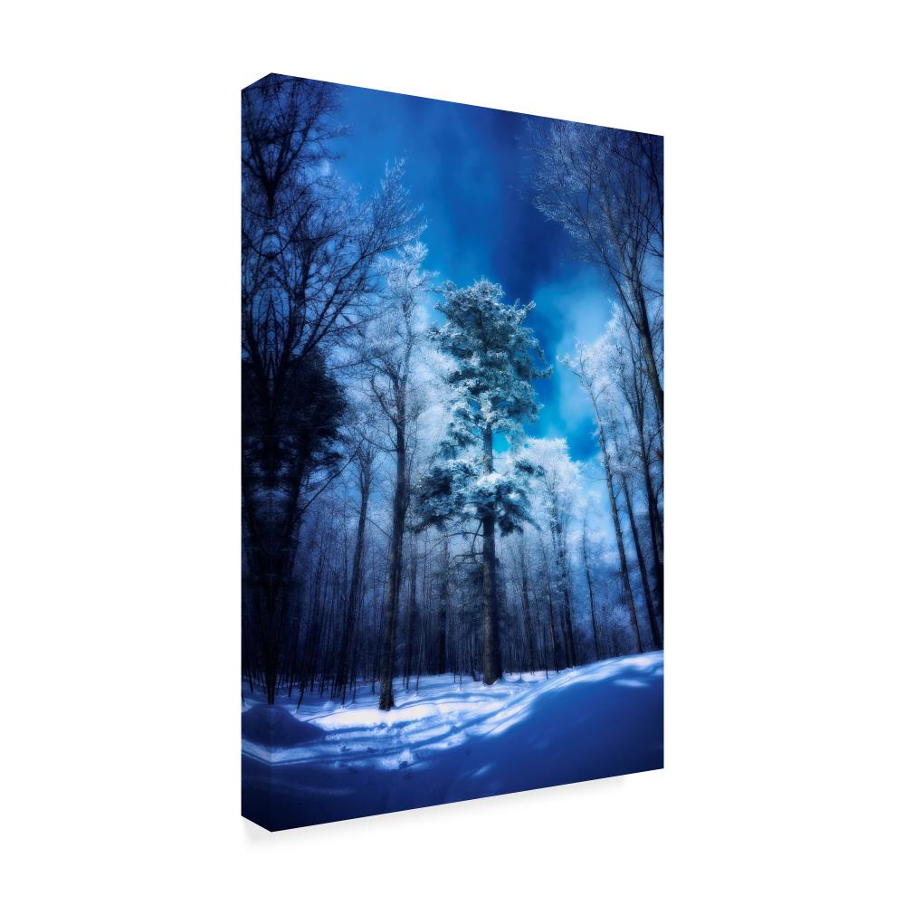 Trademark Fine Art ALI44363-C1624GG Wall-Art - View #2