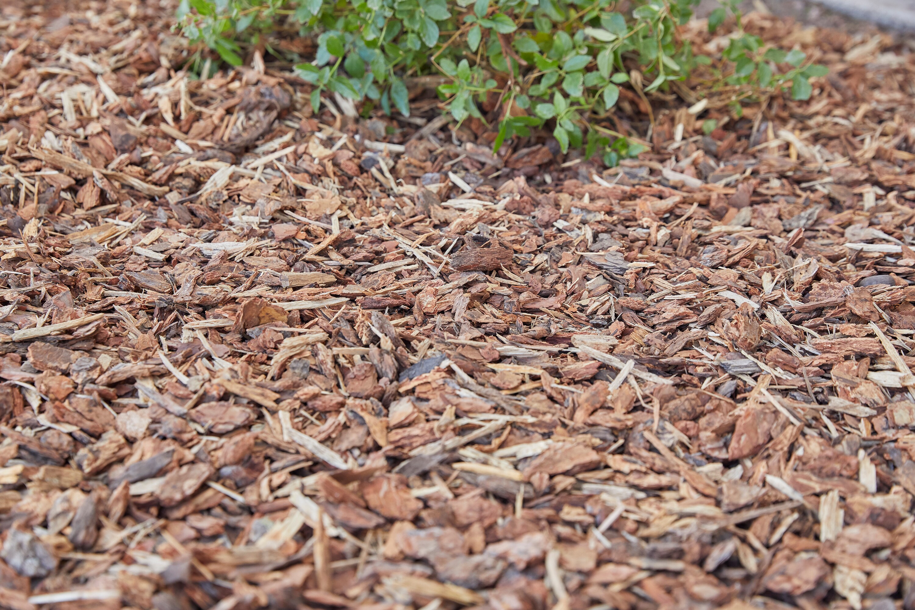 Wallace Farm WFPBN2 Bagged-Mulch - View #6