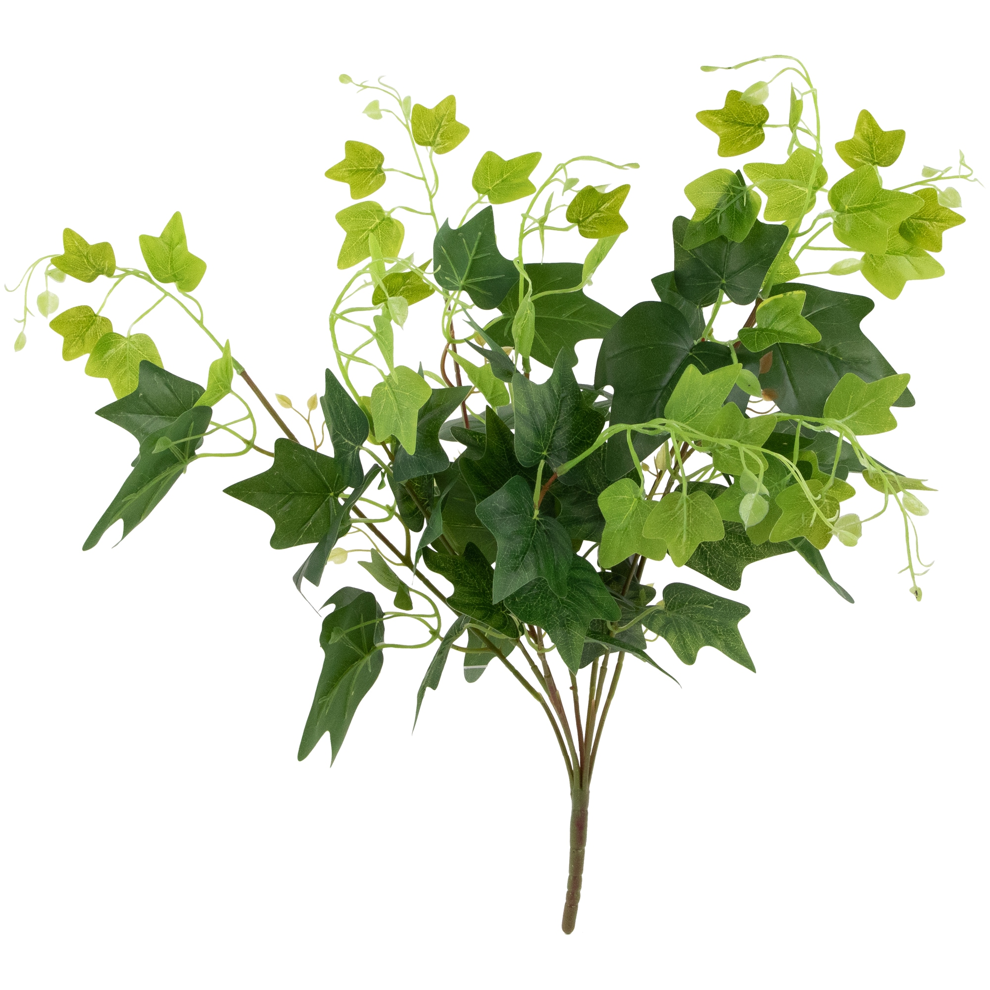 Northlight 32036009 21-in Green Indoor Hanging Ivy Artificial plant