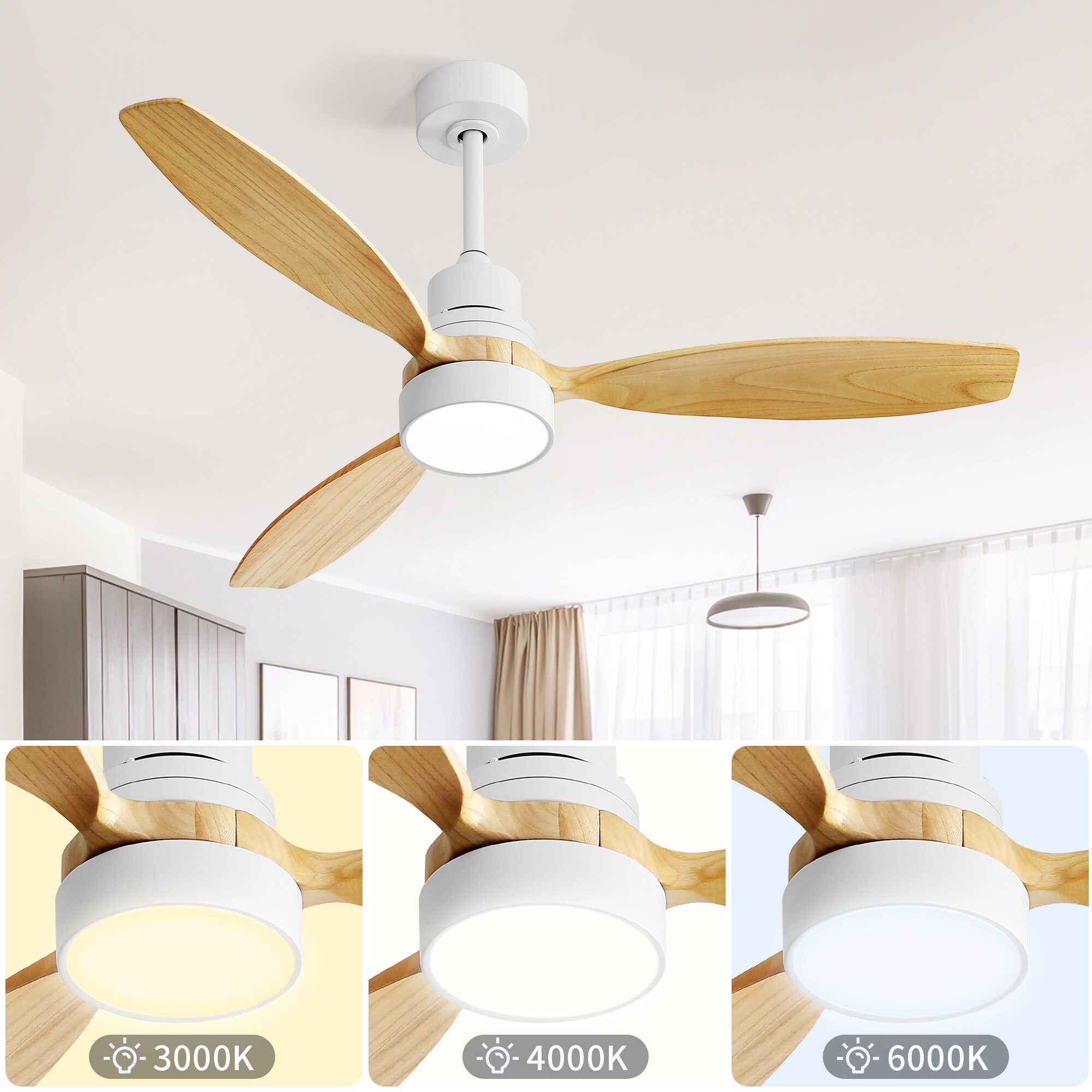 Tinyhomie LW-RV-BMM458 Ceiling-Fans - View #3
