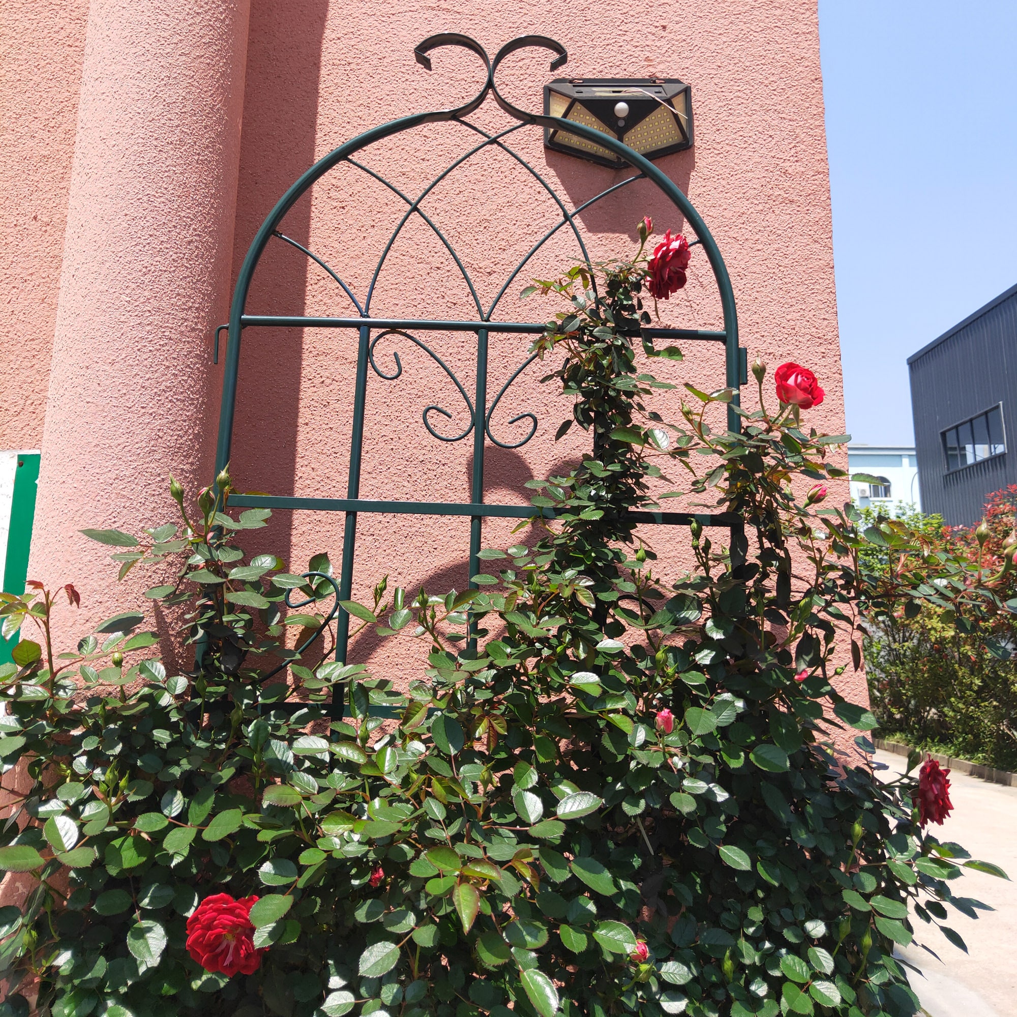 Tatayosi T58681059 Garden-Utility-Fencing - View #9