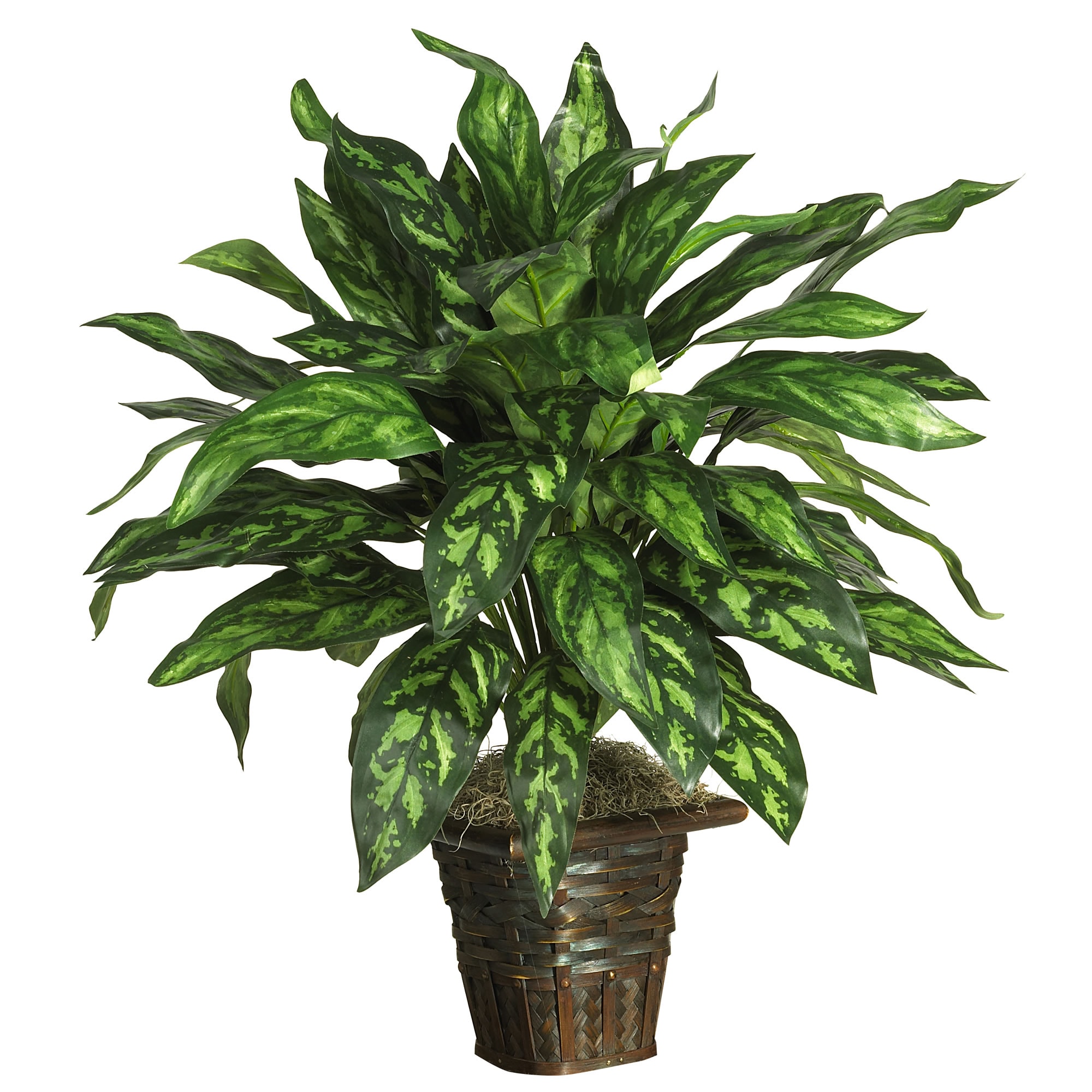 Elegant Outdoor Silk Green Plant in a Wicker Basket