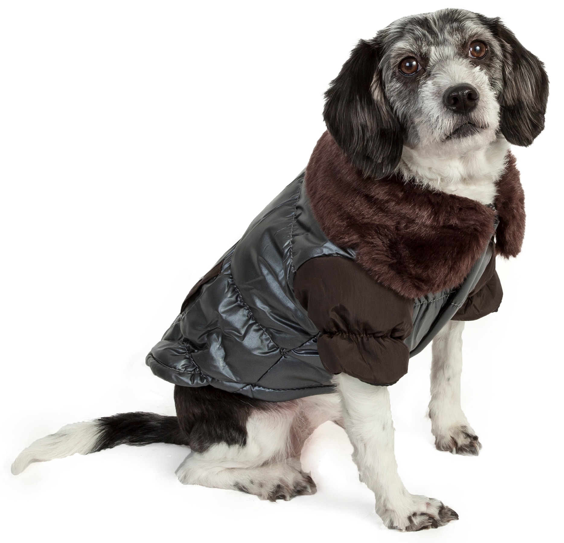 Pet Life Ultra Fur 'Track-Collared' Metallic Pet Jacket Small (11- 25 ...