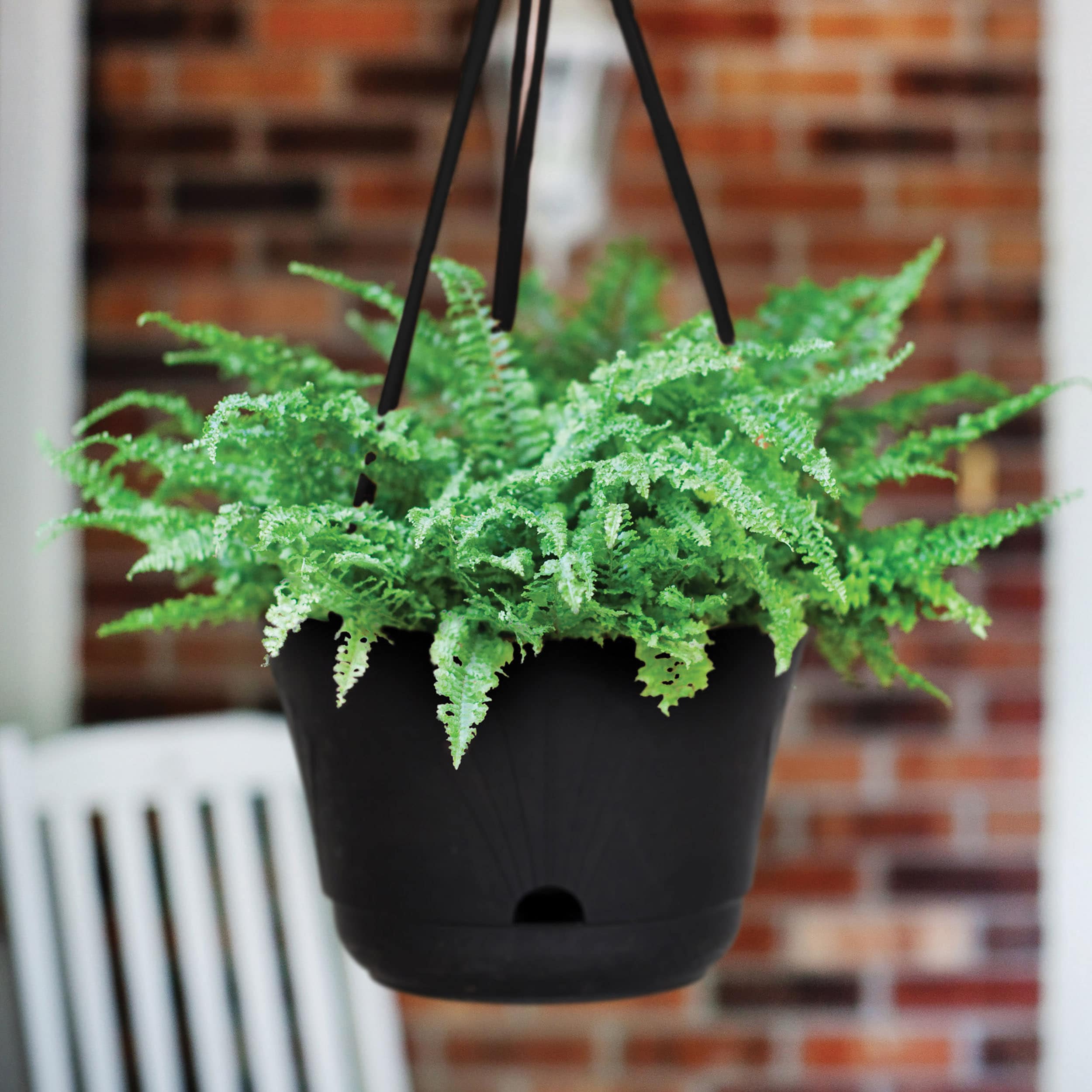 Bloem LHB1300 Planter-Window-Box - View #5