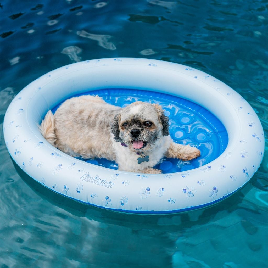 PoolCandy PC2301BL Pool-Toys-Floats - View #3