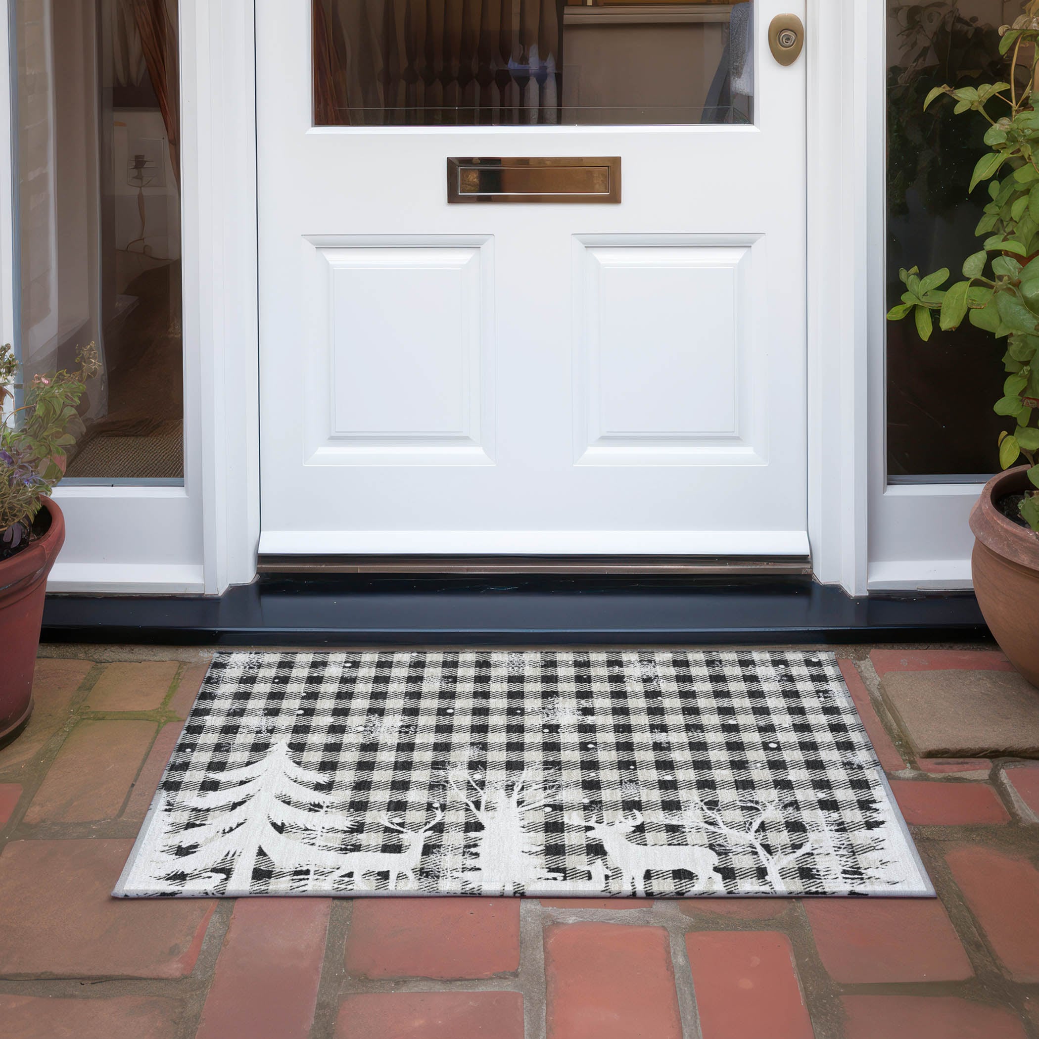 Addison Rugs ACN1824TP20X30 rugs - View #7