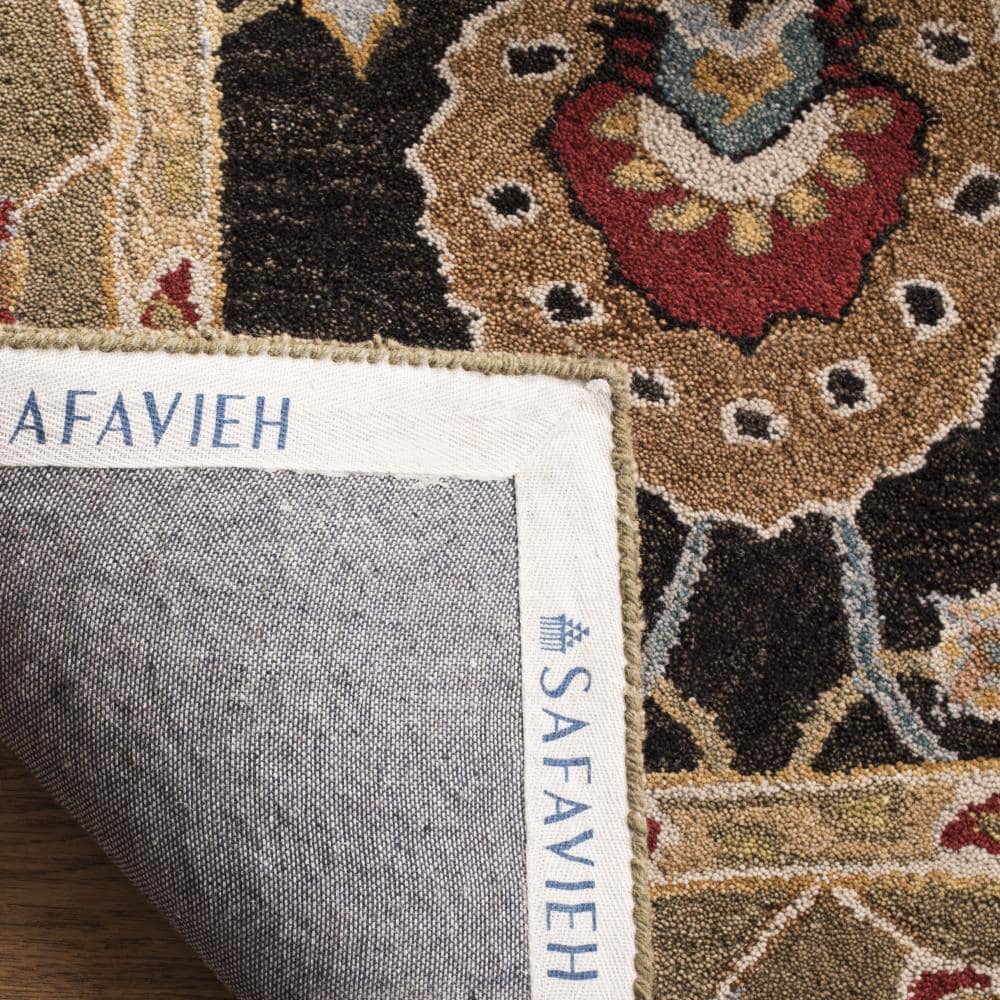 Safavieh AN561C-5 rugs - View #4