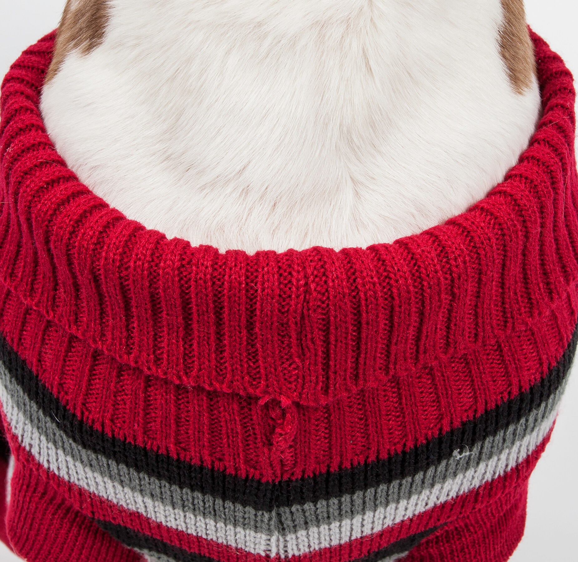 Pet Life SW6RBKMD Dog-Apparel - View #6