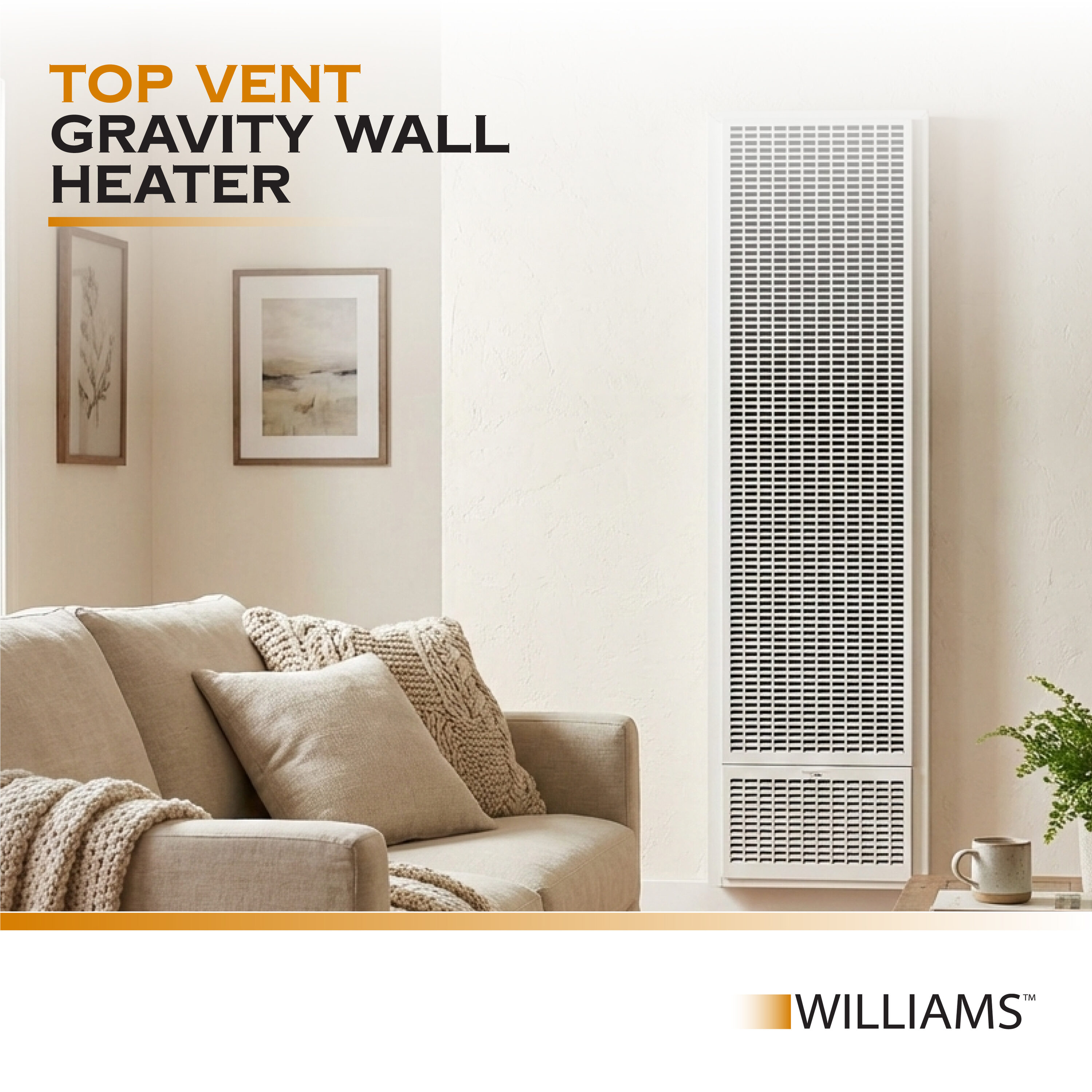 Williams TV25N22 Gas-Heaters - View #7