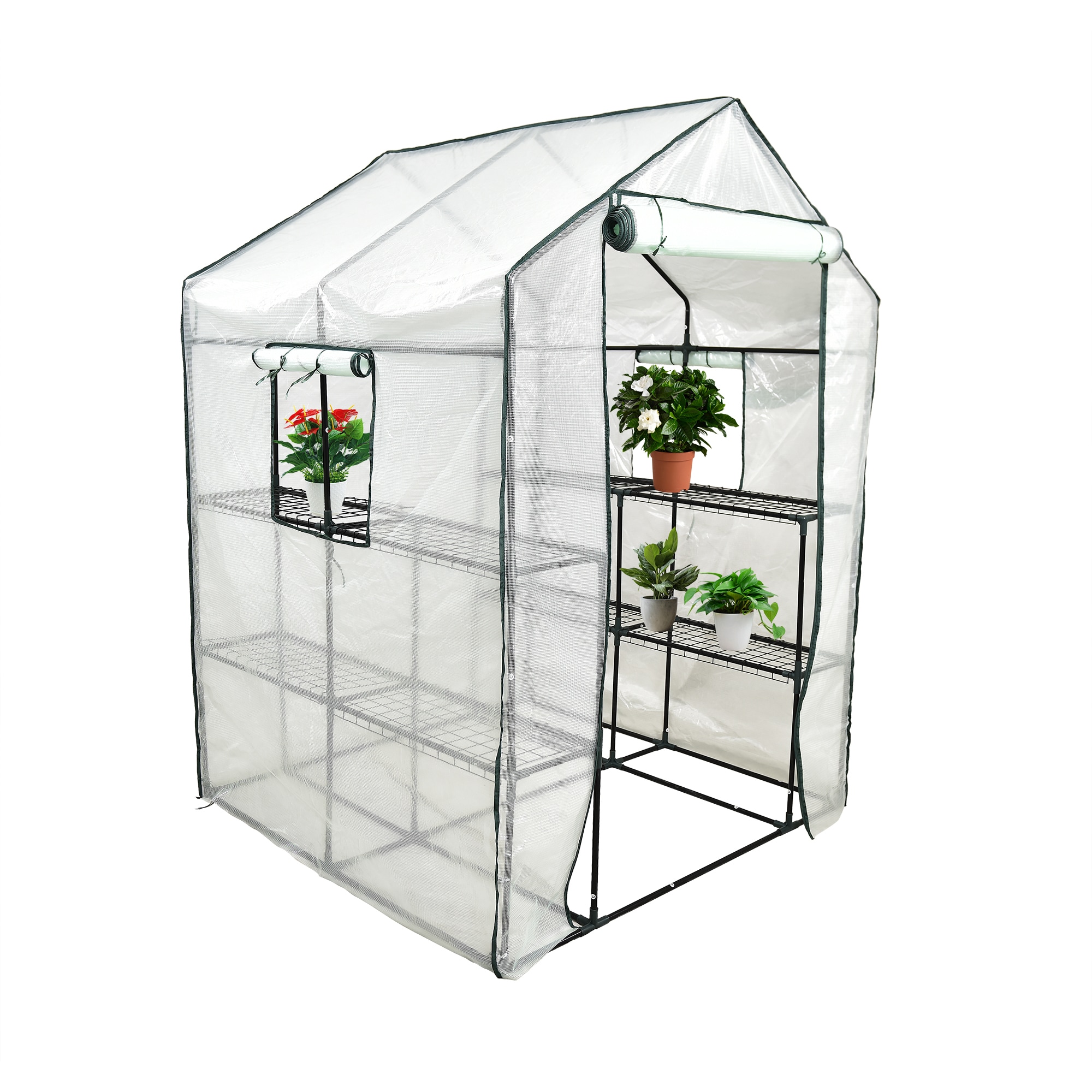 WELLFOR ALGI-08GH greenhouses - View #2