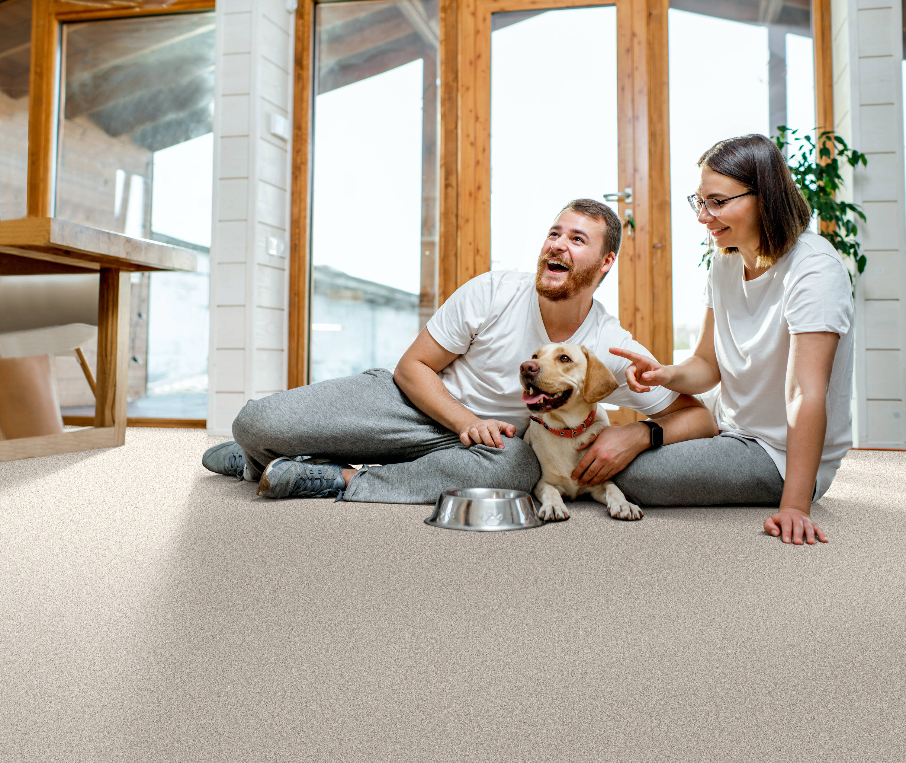 STAINMASTER 7L880 - 146 - SAMP Carpet-Samples - View #3