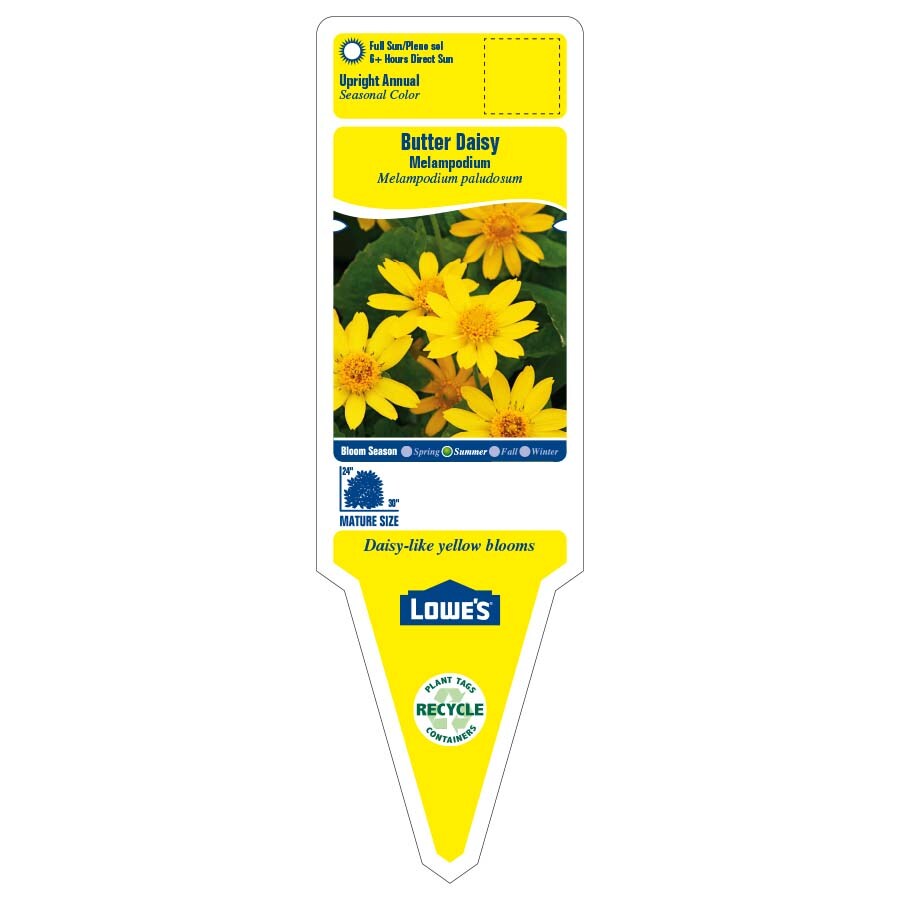 Lowe's 93934 annuals - View #2