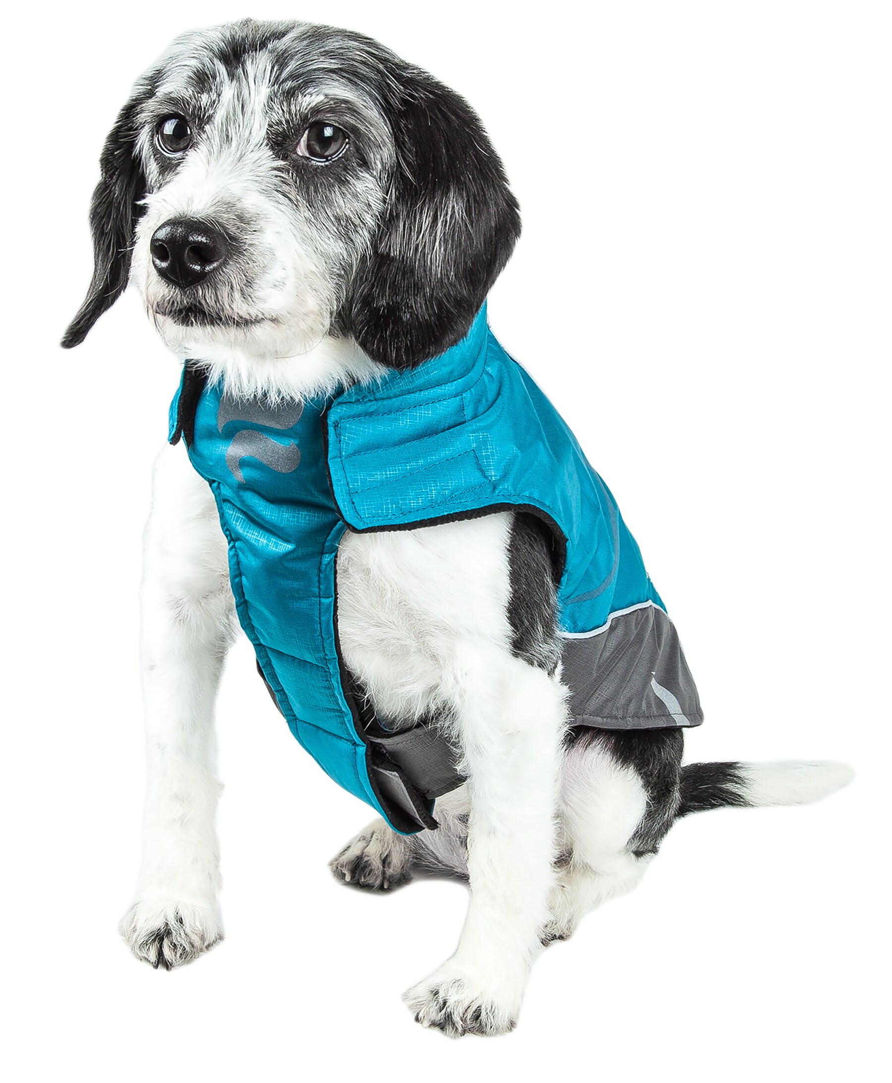 Dog Helios JKHL2BLXL Dog-Apparel - View #2
