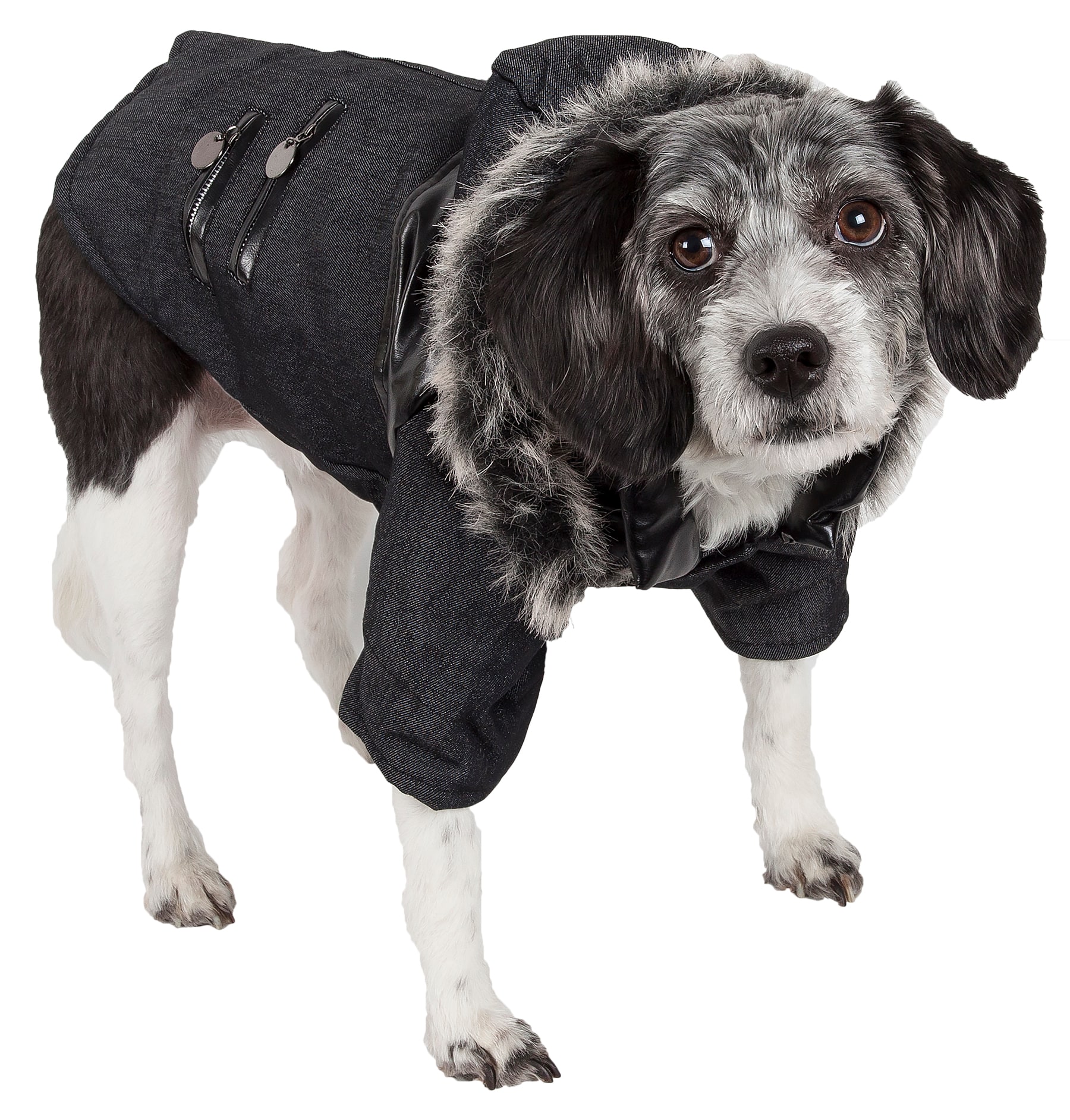 : NFL Buffalo Bills Puffer Vest for Dogs & Cats, Size Small.  Warm, Cozy, and Waterproof Dog Coat, for Small and Large Dogs/Cats. Best NFL  Licensed PET Warming Sports Jacket :