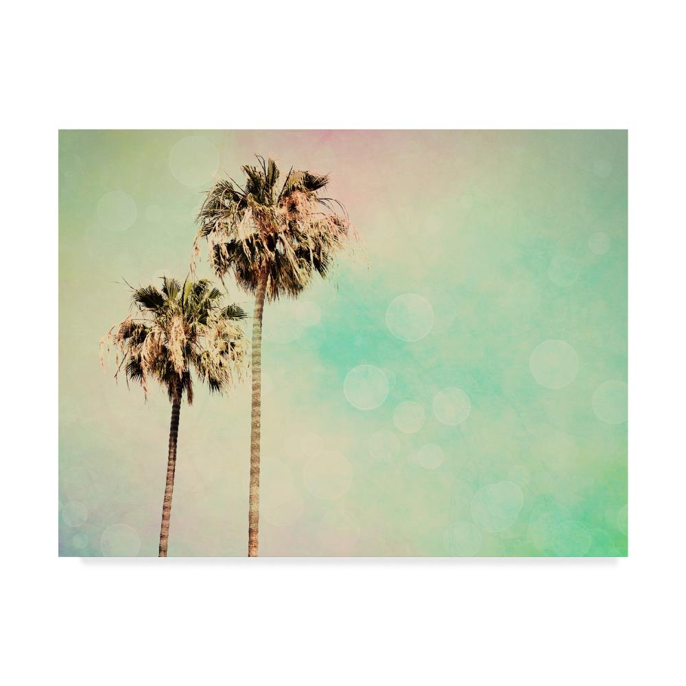 Trademark Fine Art WAG06036-C3547GG Framed 35-Inches H x 47-Inches W Botanical Canvas Print