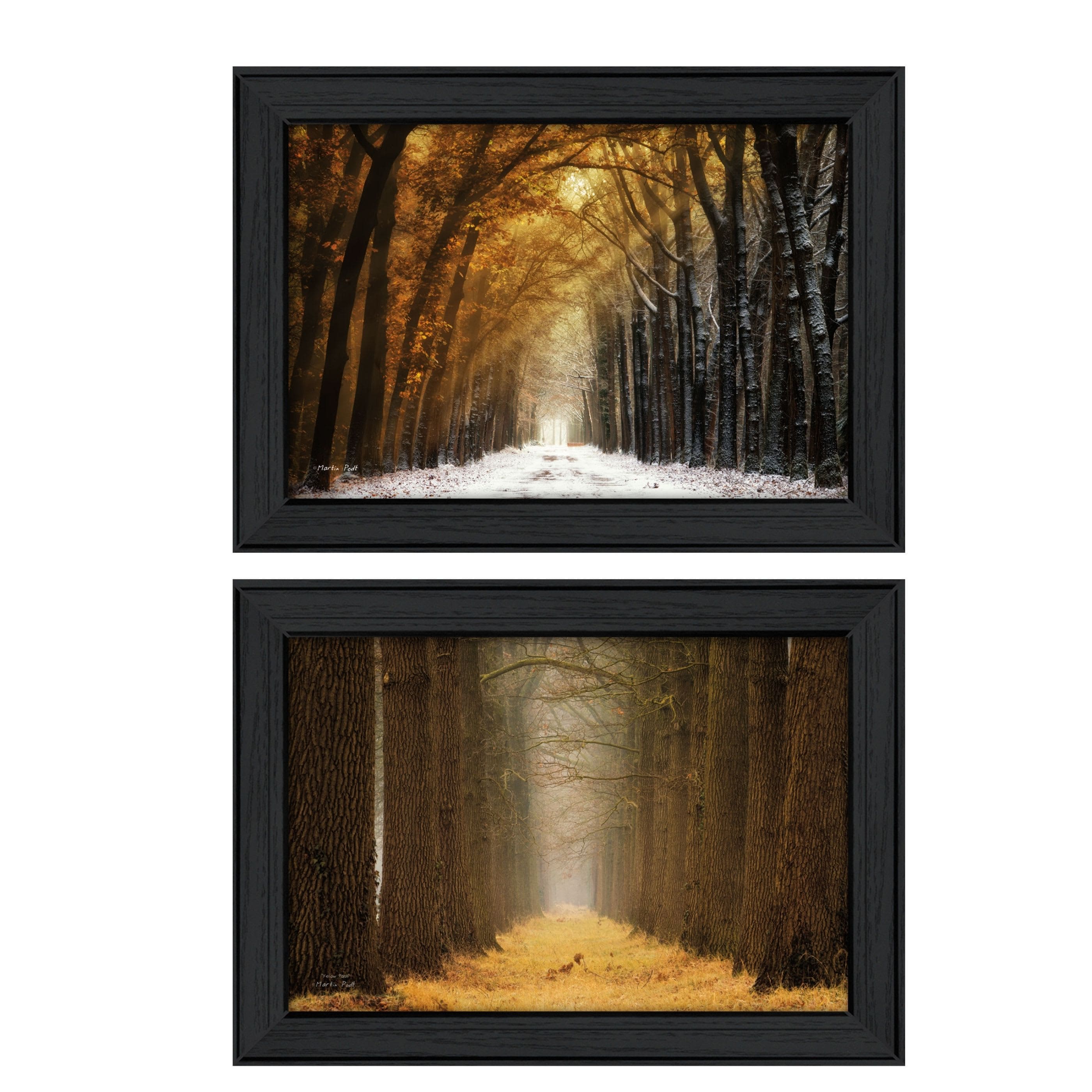 Vynxaria LESX0337-DJWA-GH0080 2Piece Vignette By Martin Podt Printed Wall Art Ready To Hang Framed Poster Black FrameGolden Forest Path Collection