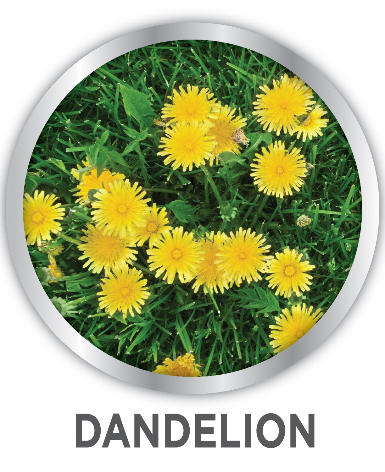 IMAGE 7062461009 Weed-Preventers - View #10