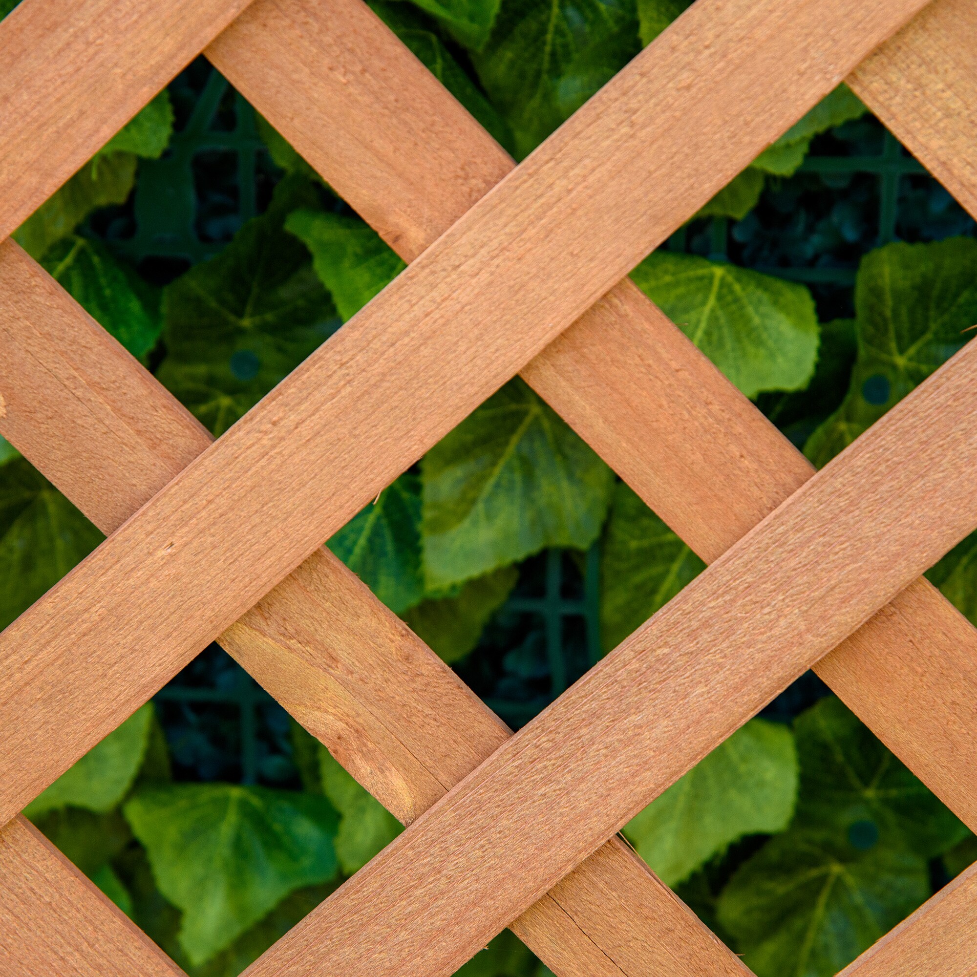 BABOOM BOM-P217232-OR Raised-Planter-Boxes - View #4