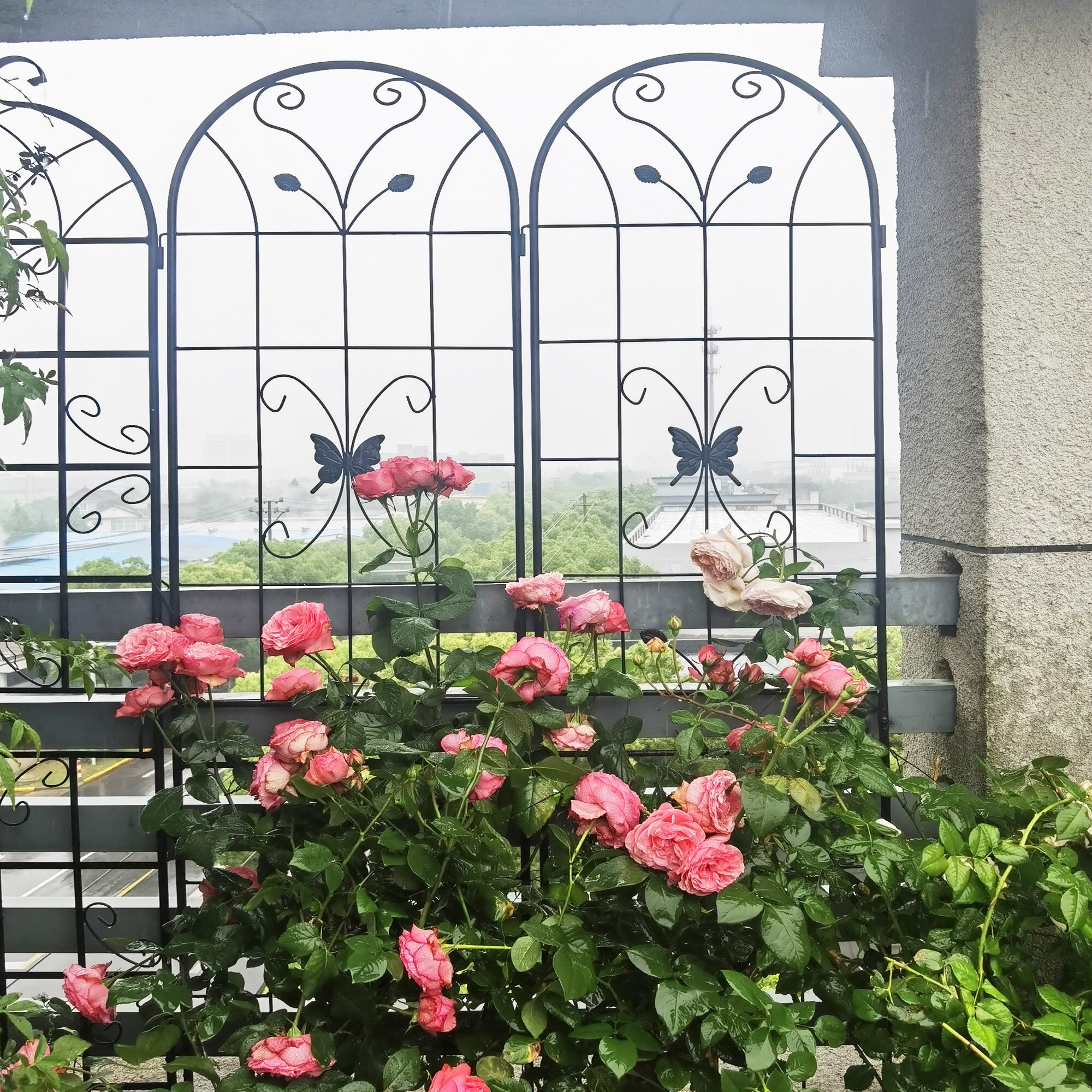 LUXEYARD DS-R-P151257 Garden-Trellis - View #3