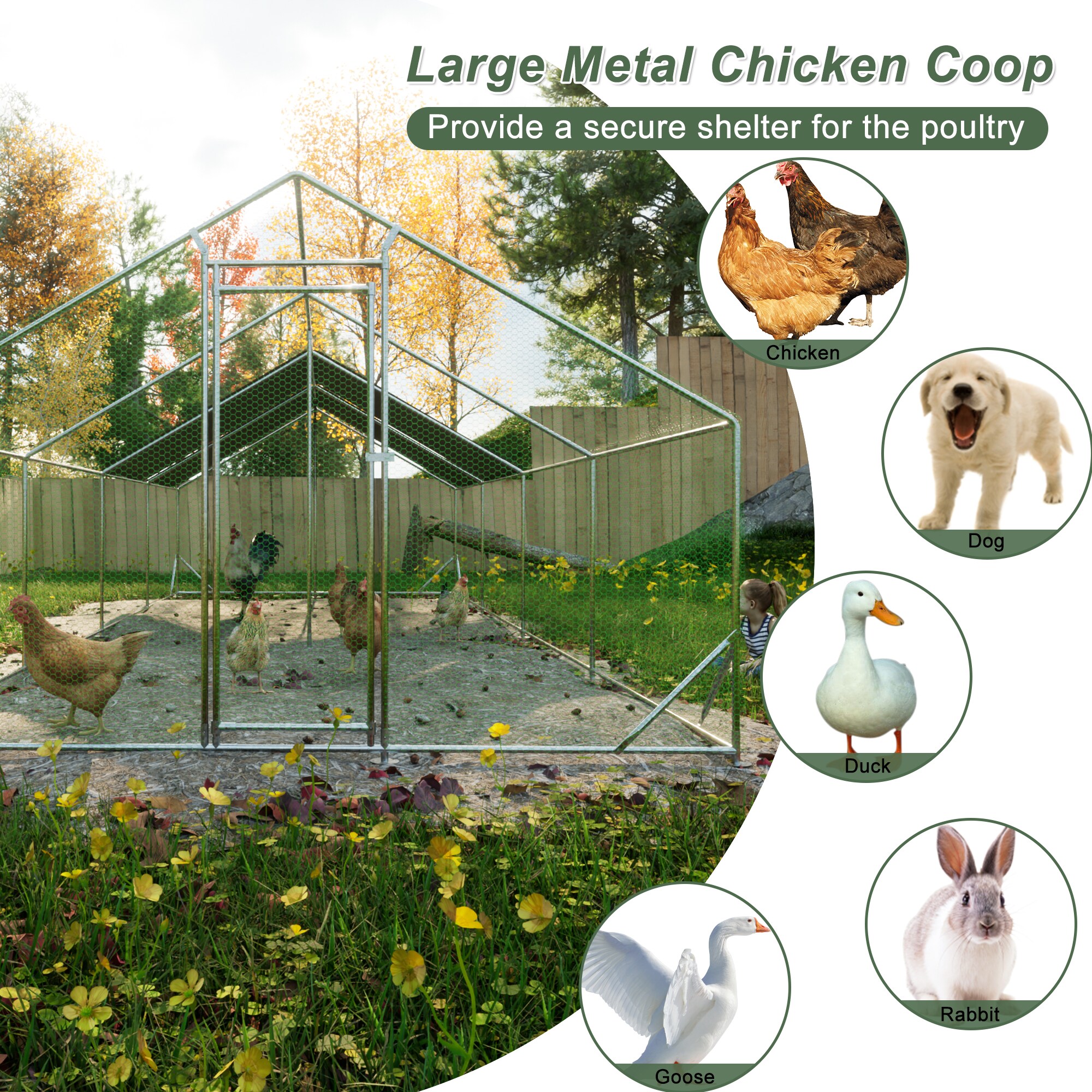 Siavonce ZX-89960 Chicken-Coops-Rabbit-Hutches - View #8
