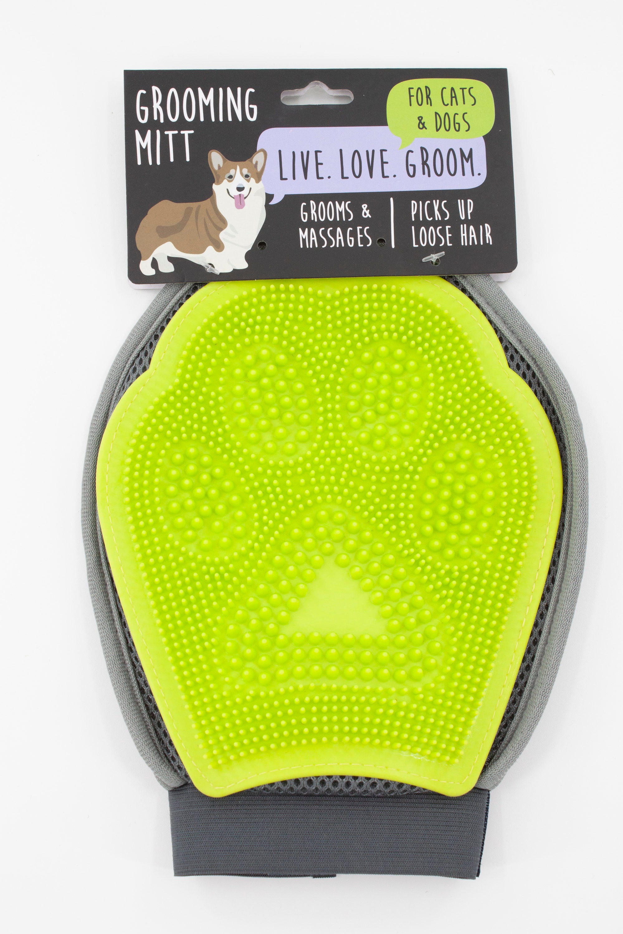 Soft Bristle Dog Brush for Short Haired Cats or Dogs - Firm Bristles to Remove Dust, Dirt, and Loose Fur - Hook and Rubber Handle