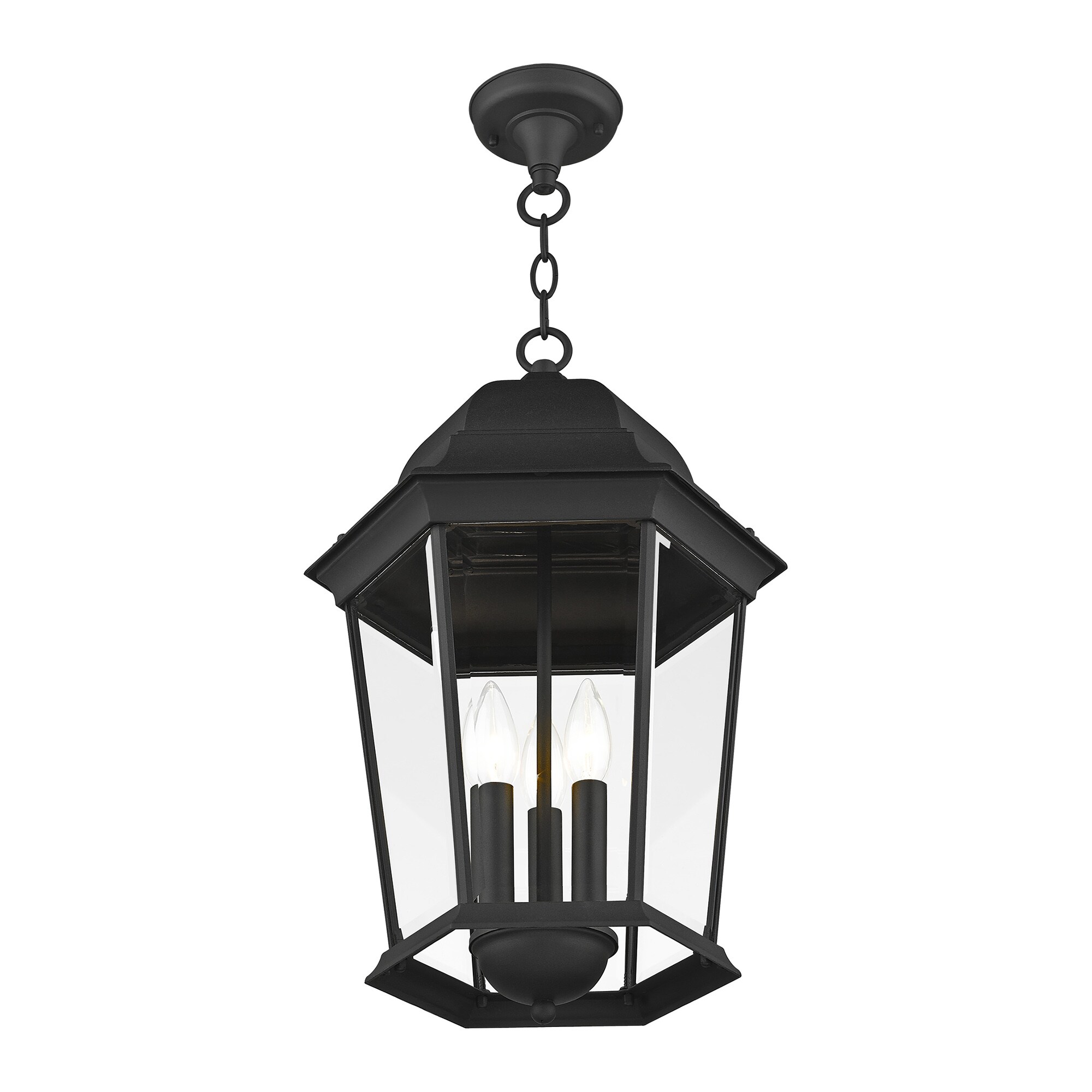 Livex Lighting 7569-14 Pendant-Lights - View #7
