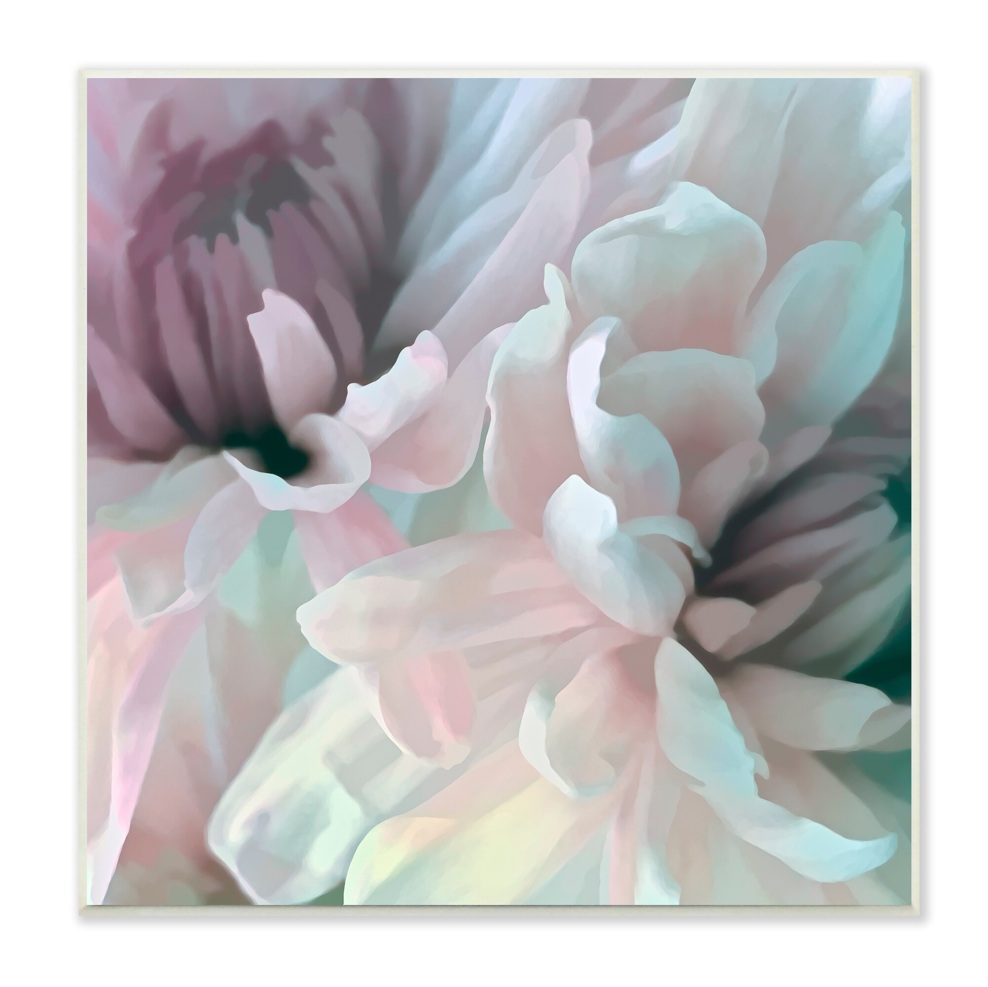 Stupell Industries AF-103-WD-12X12 Pink Floral Petal Study Blush Tone Flowers David Pollard 12-in H x 12-in W Floral Print