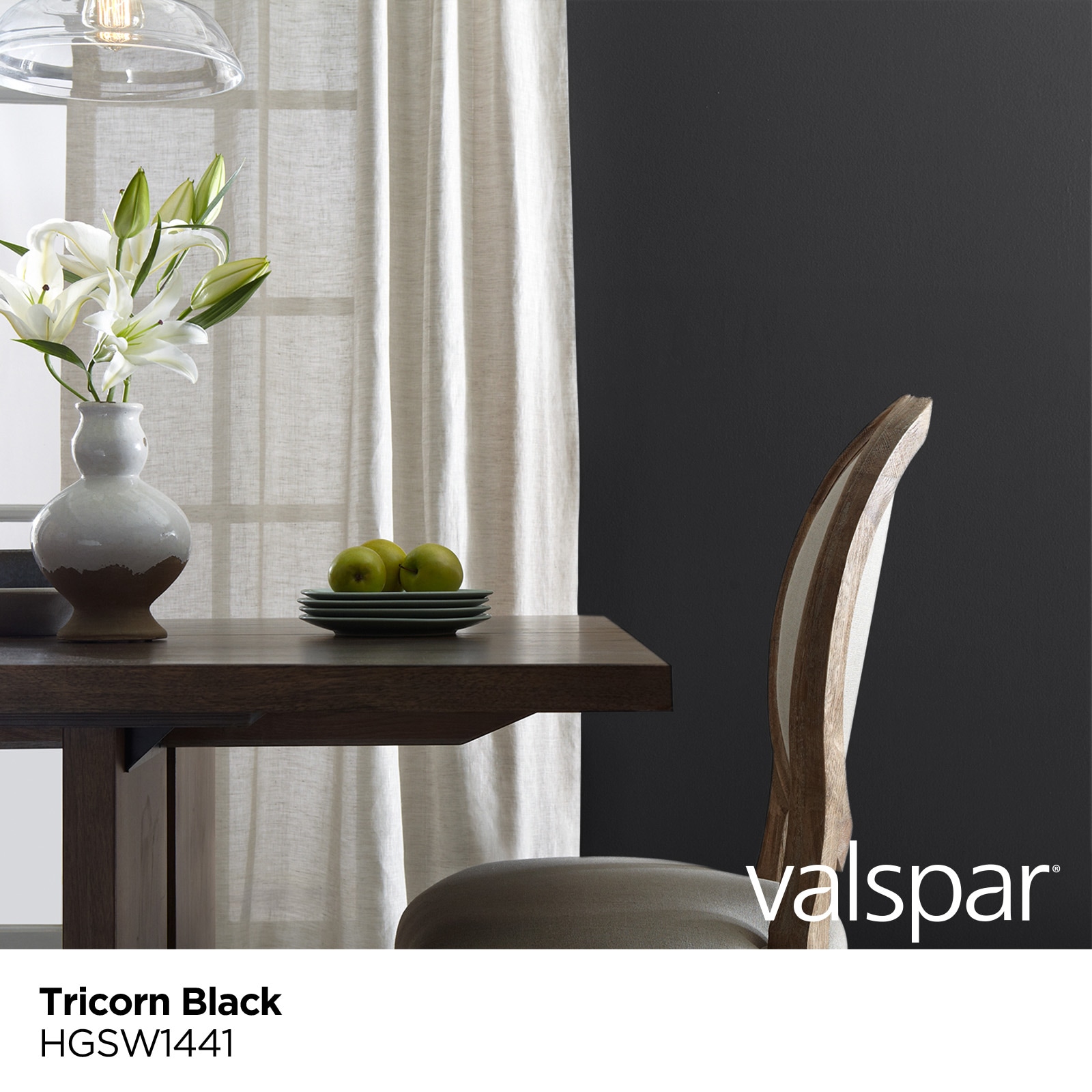 Valspar Satin Tricorn Black Hgsw1441 Cabinet and Furniture Paint