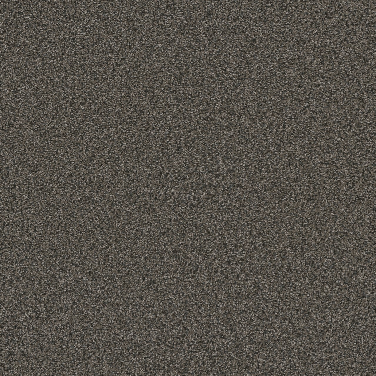 STAINMASTER L5019-1810-1200-AB Royal Flush II All Aces Gray 70-oz sq yard Solution-dyed polyester Textured Indoor Carpet