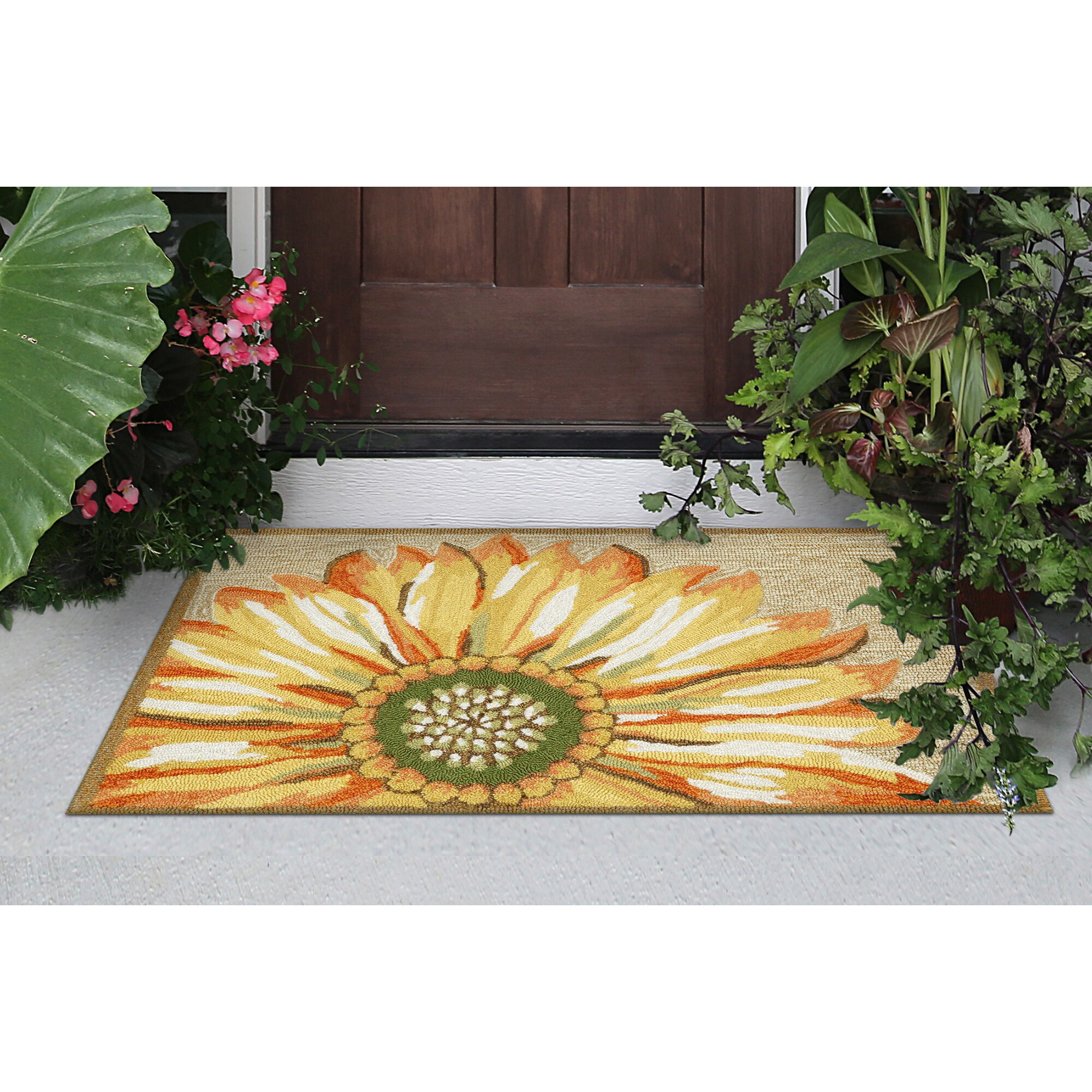 Liora Manne FTP34141709 rugs - View #12