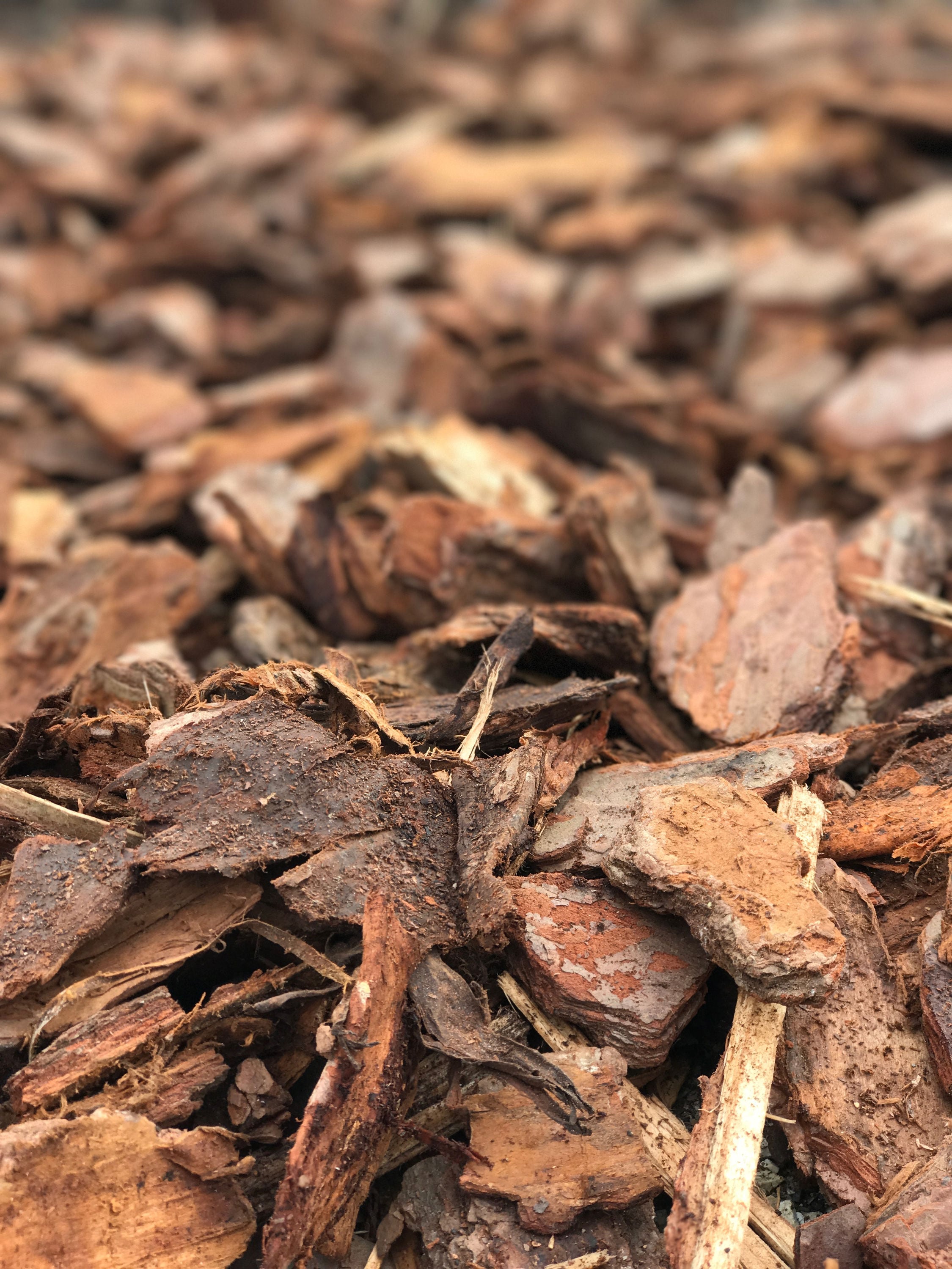 Countryside Accents 459863 Bagged-Mulch - View #3