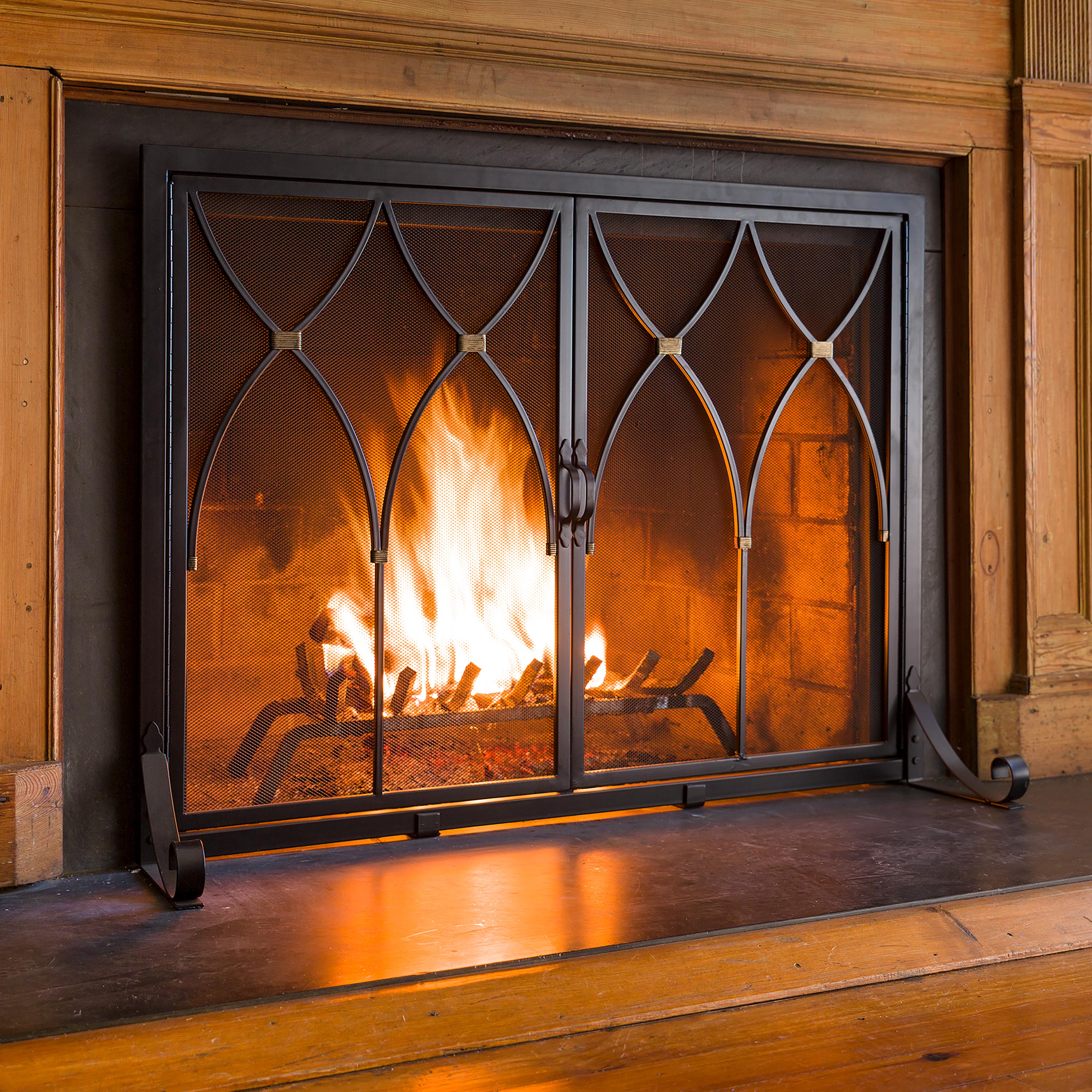Evergreen 66H32 Glass-Fireplace-Doors - View #3