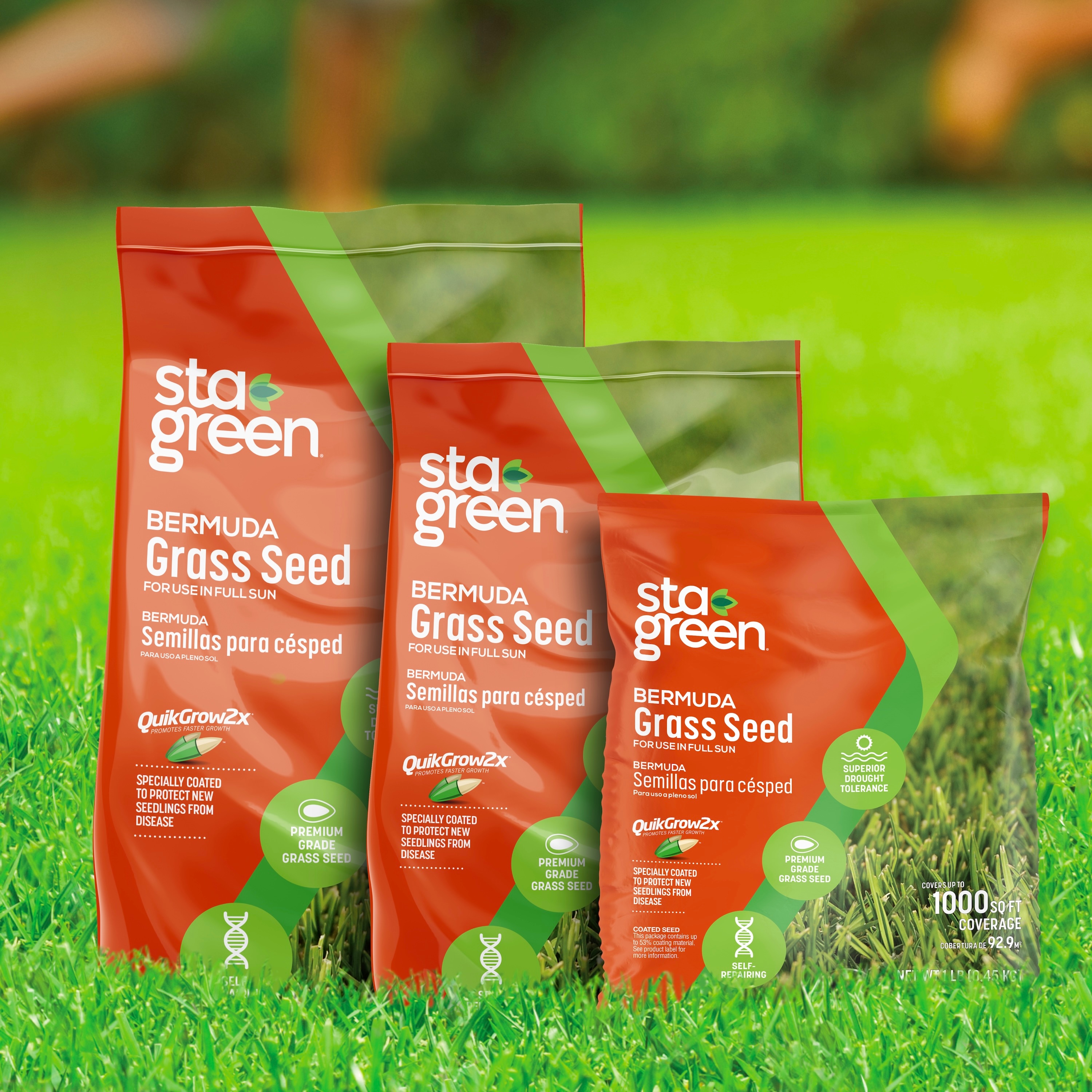 Sta-Green SG-BER-1 Grass-Seed - View #12