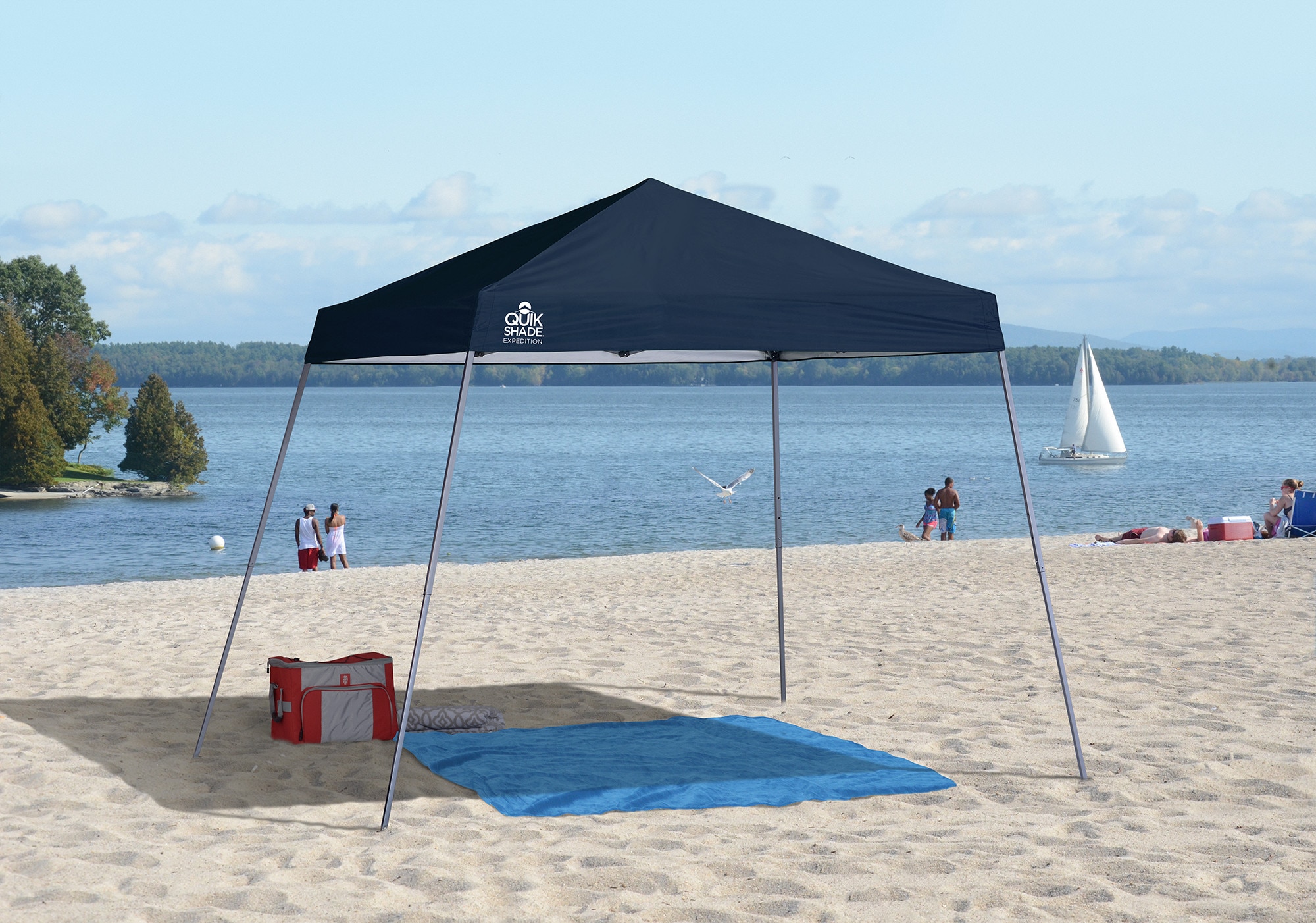 Navy Blue 10 ft x 10 ft Steel Pop-Up Canopy Tent