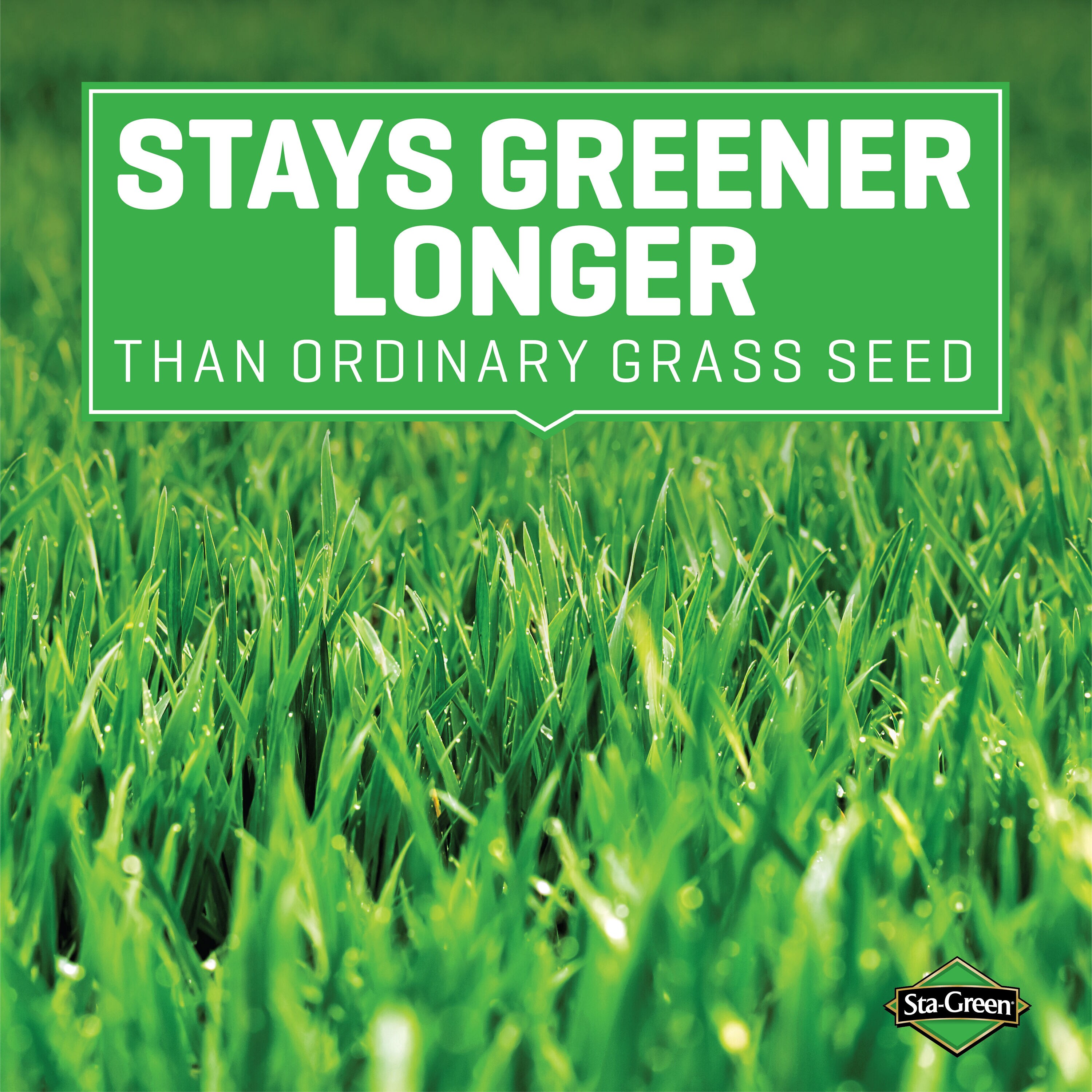 Sta-Green 2149620293 Grass-Seed - View #5