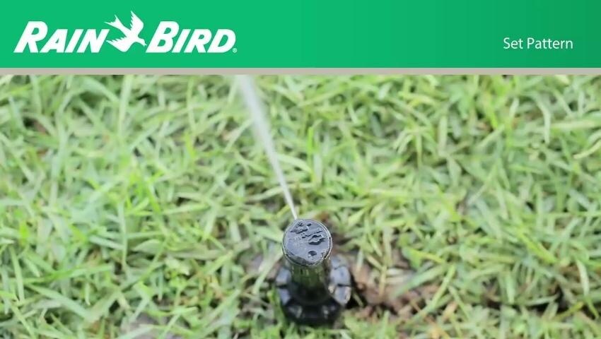 A thumbnail for the video