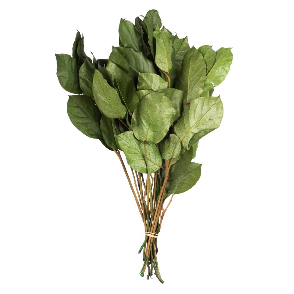Vickerman H4SAL115 16-in Spring Green Indoor Fruit Artificial Plant