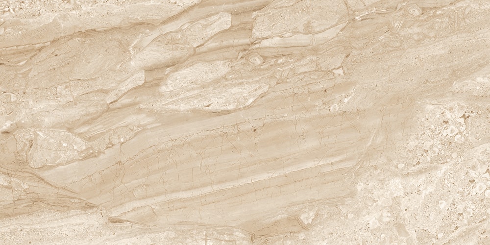 Elida Ceramica LWSSMMC2448M Ceramic-Tile - View #7