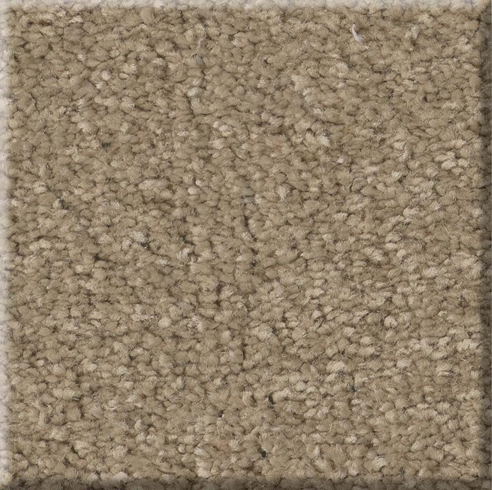 STAINMASTER 7L87200700 Chic Dreams I Khaki Brown 44.9-oz sq yard Polyester Textured Indoor Carpet