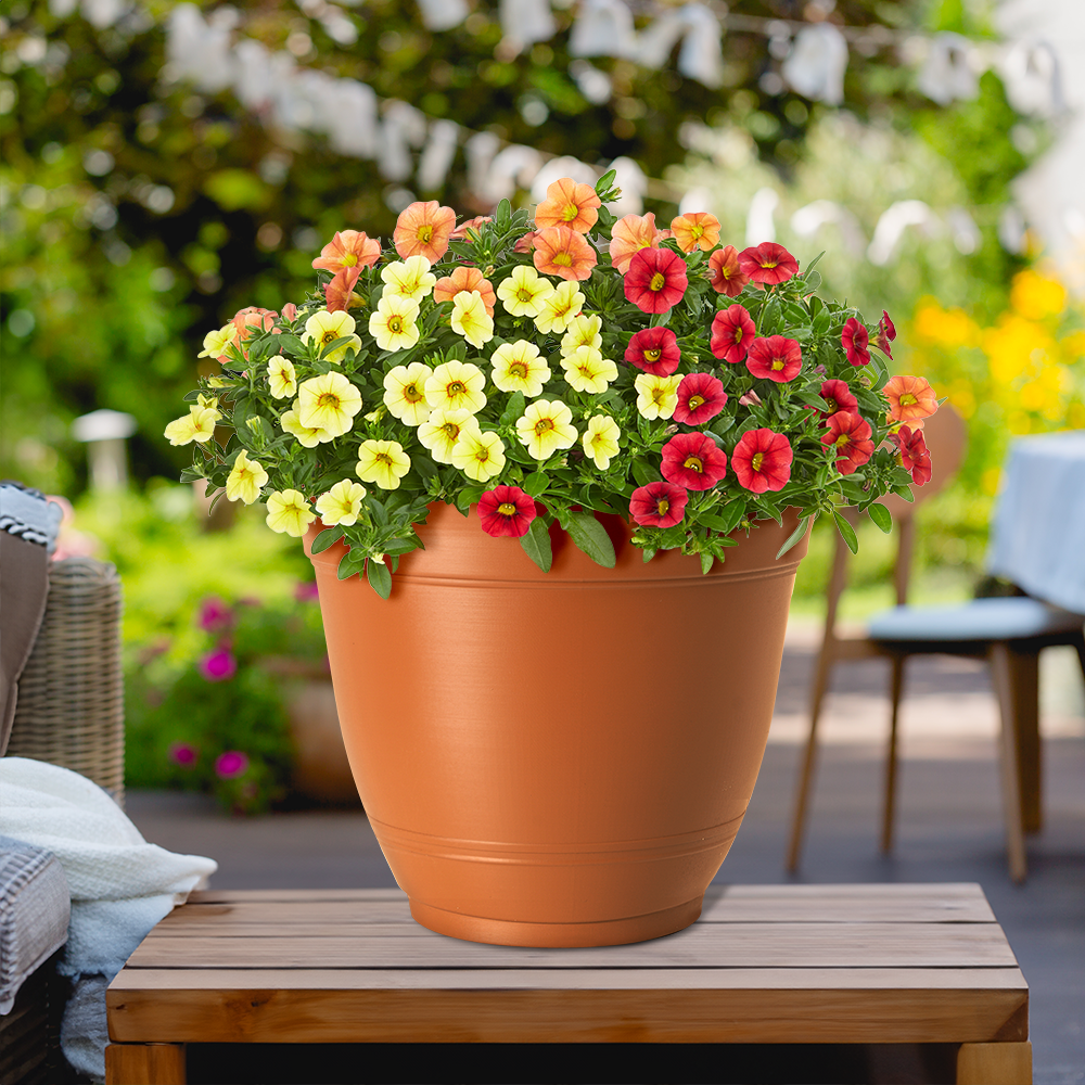 Style Selections DP2132P-CLAY Planter-Window-Box - View #4