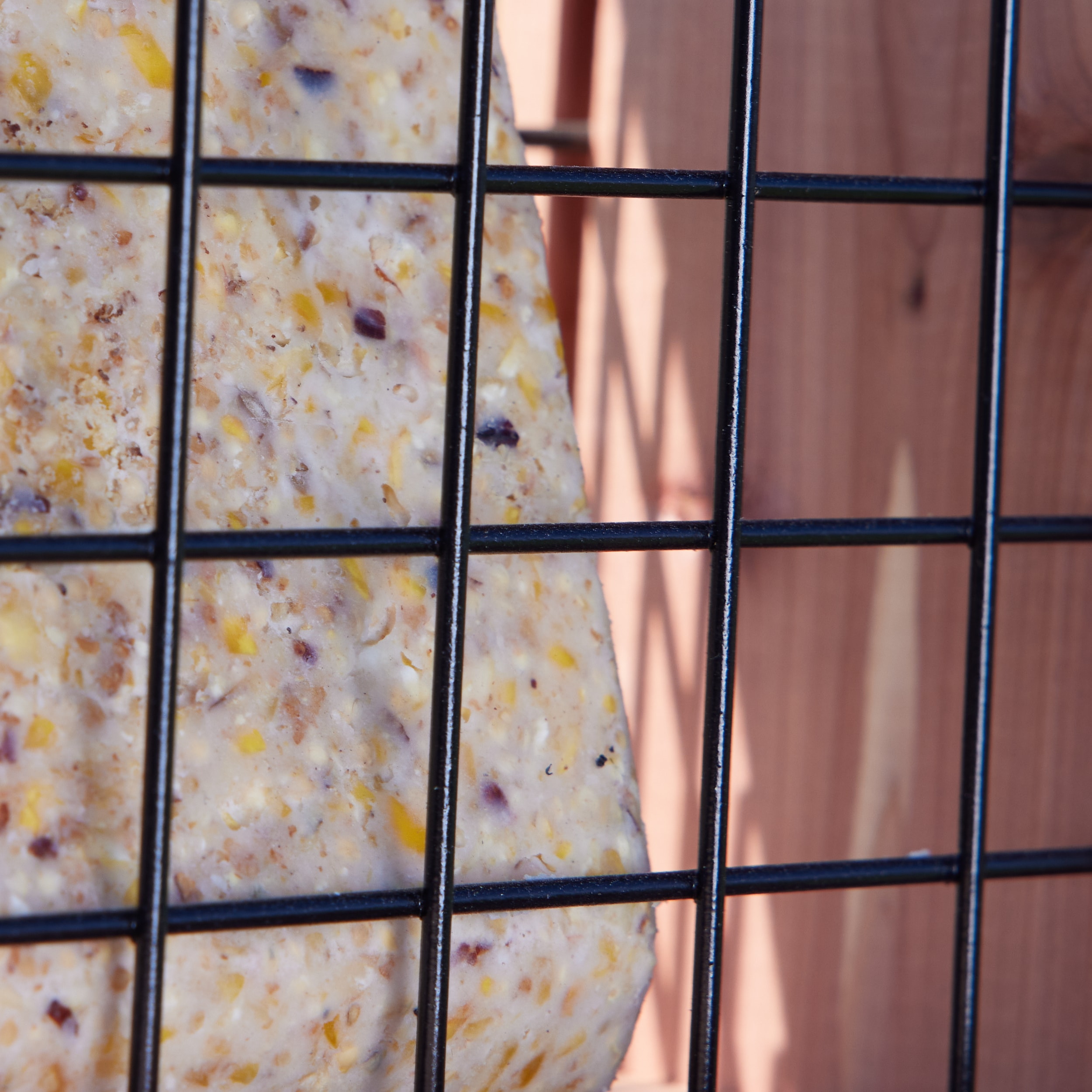 HomeGrown CBF-03550 Bird-Feeders - View #3