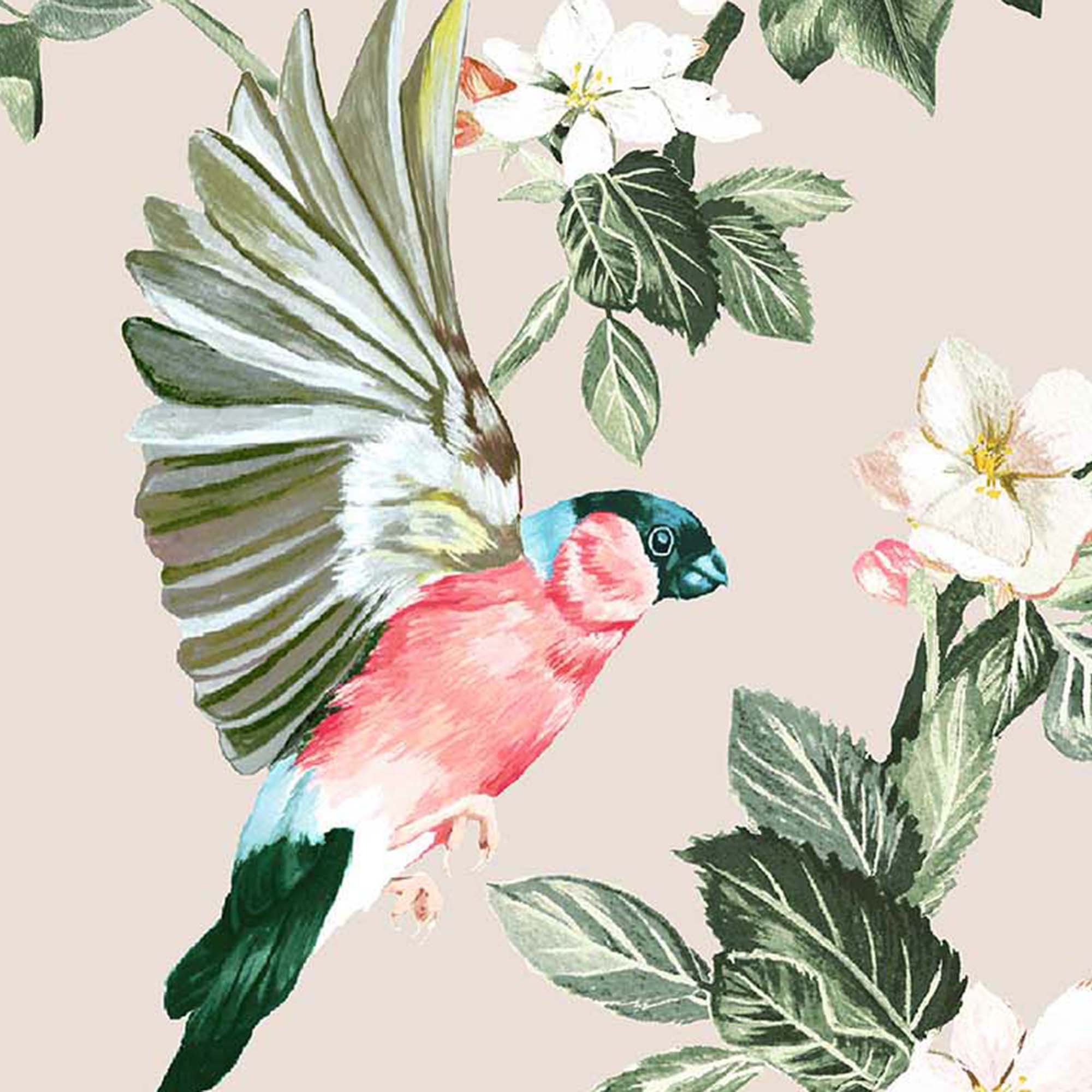 Vintage Bird Trail by Barneby Gates  Blue  Pink  Wallpaper  Wallpaper  Direct