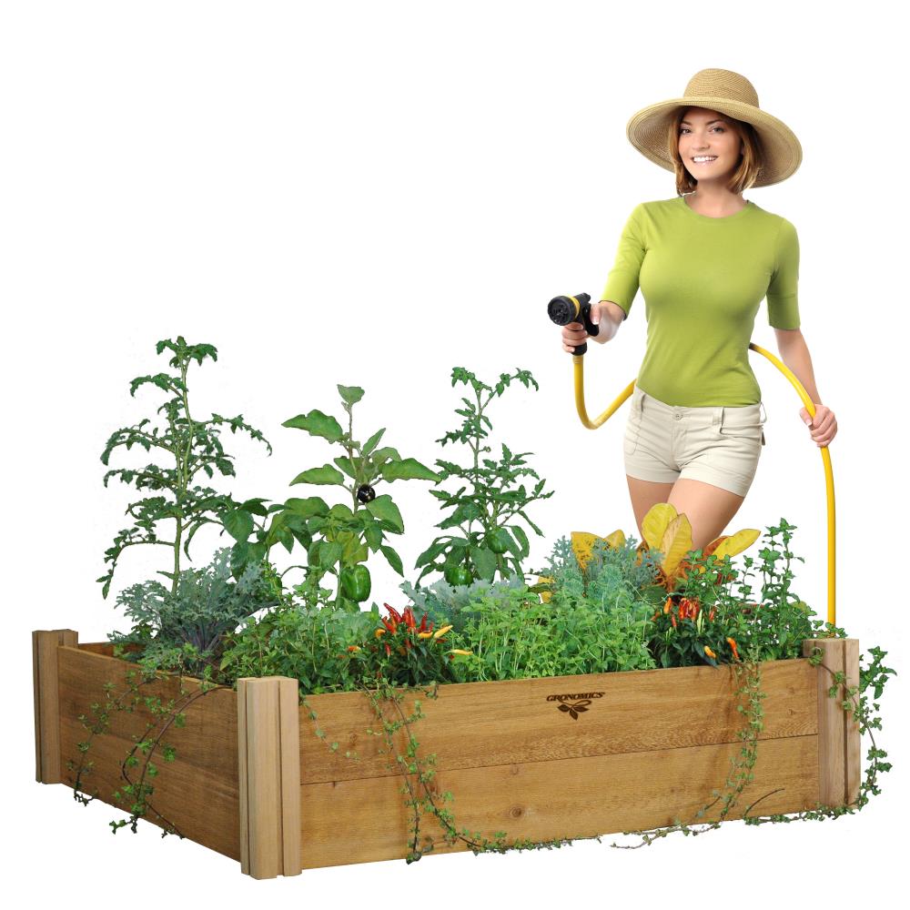 Image of Group of vegetables growing in garden bed treated with Gronomics Cedar Garden Bed Oil