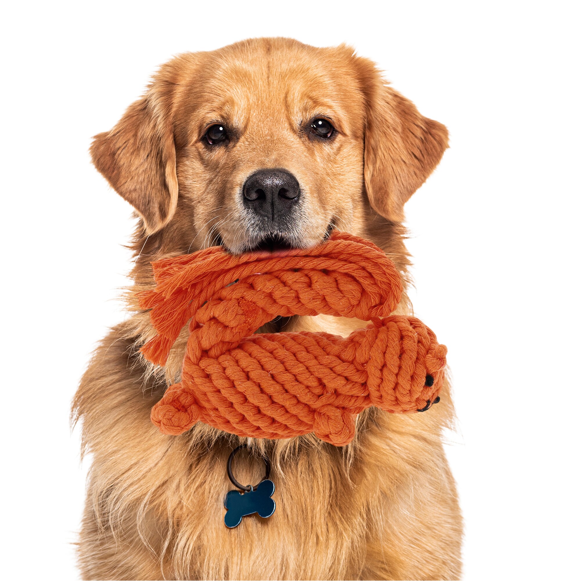 Unique Bargains S26020600UX8711 Dog-Toys - View #4