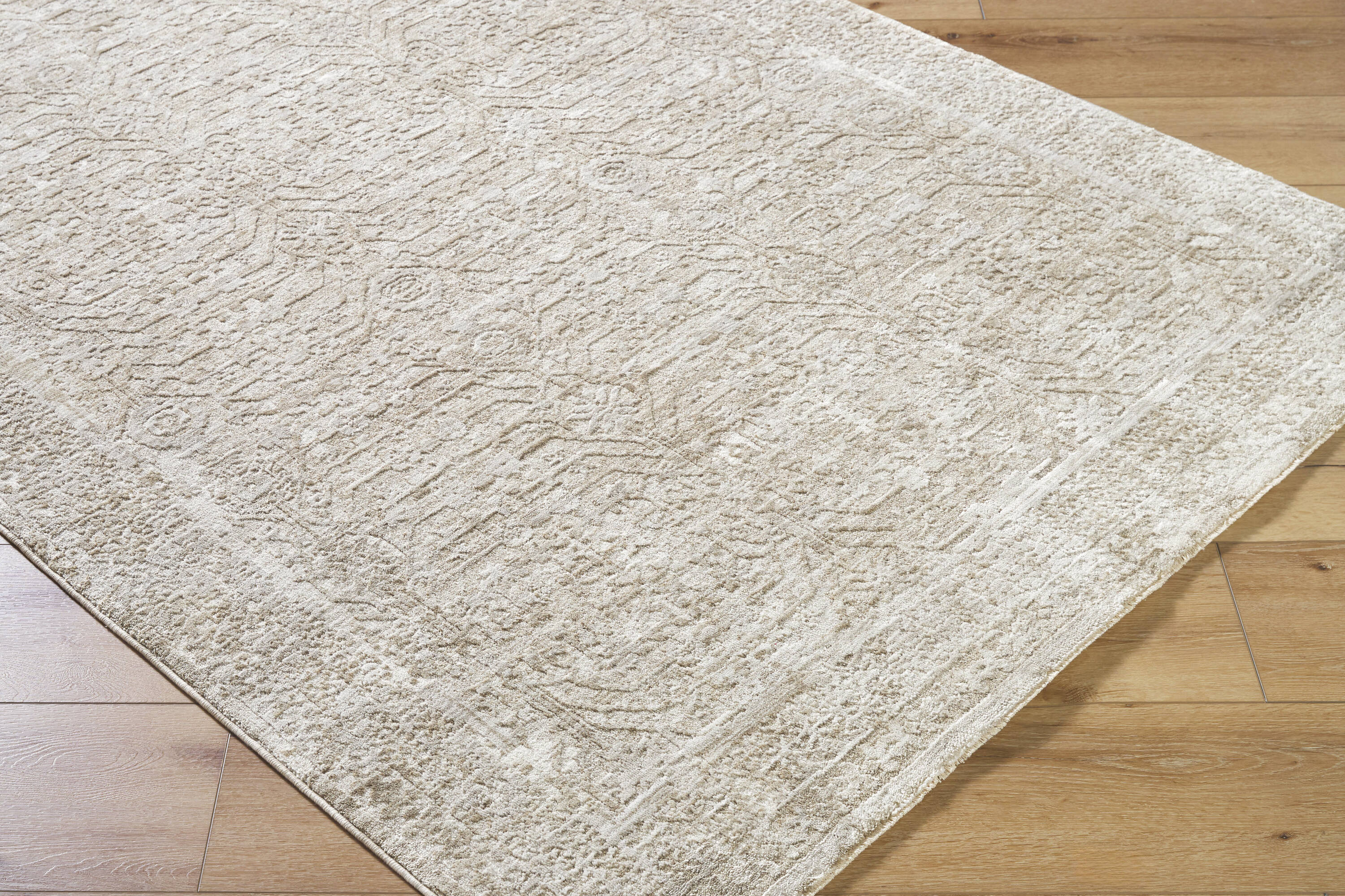 Livabliss VVBE2301-53RD rugs - View #5