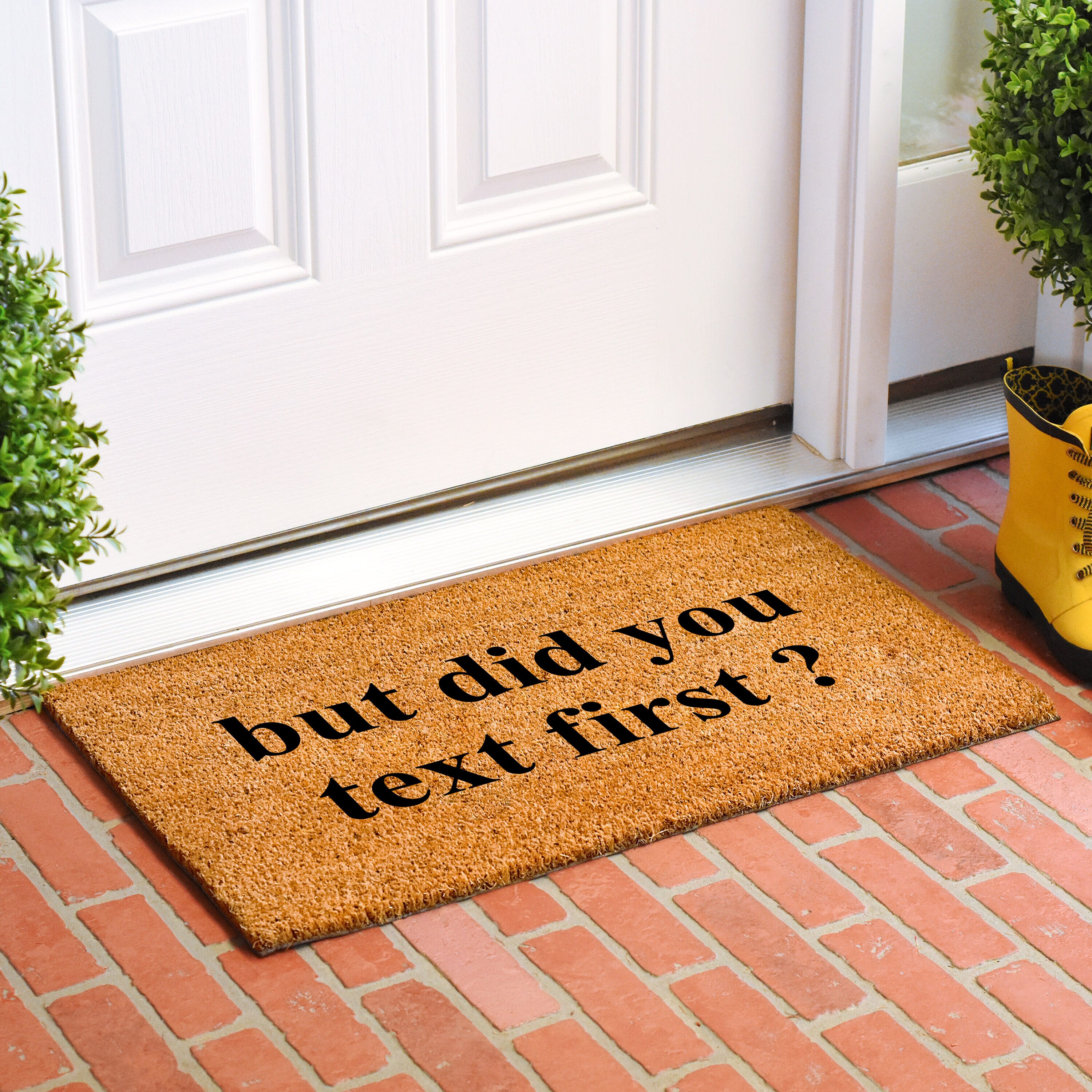 Callowaymills 108713672 Mats-Cat - View #2