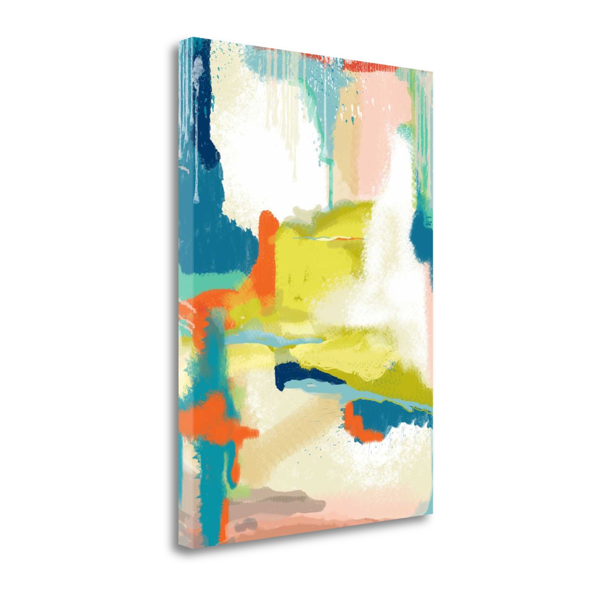 Tangletown Fine Art ICW605D-2028C Deconstructed Landscape 2 Jan Weiss 28-in H x 20-in W Abstract Print on Canvas
