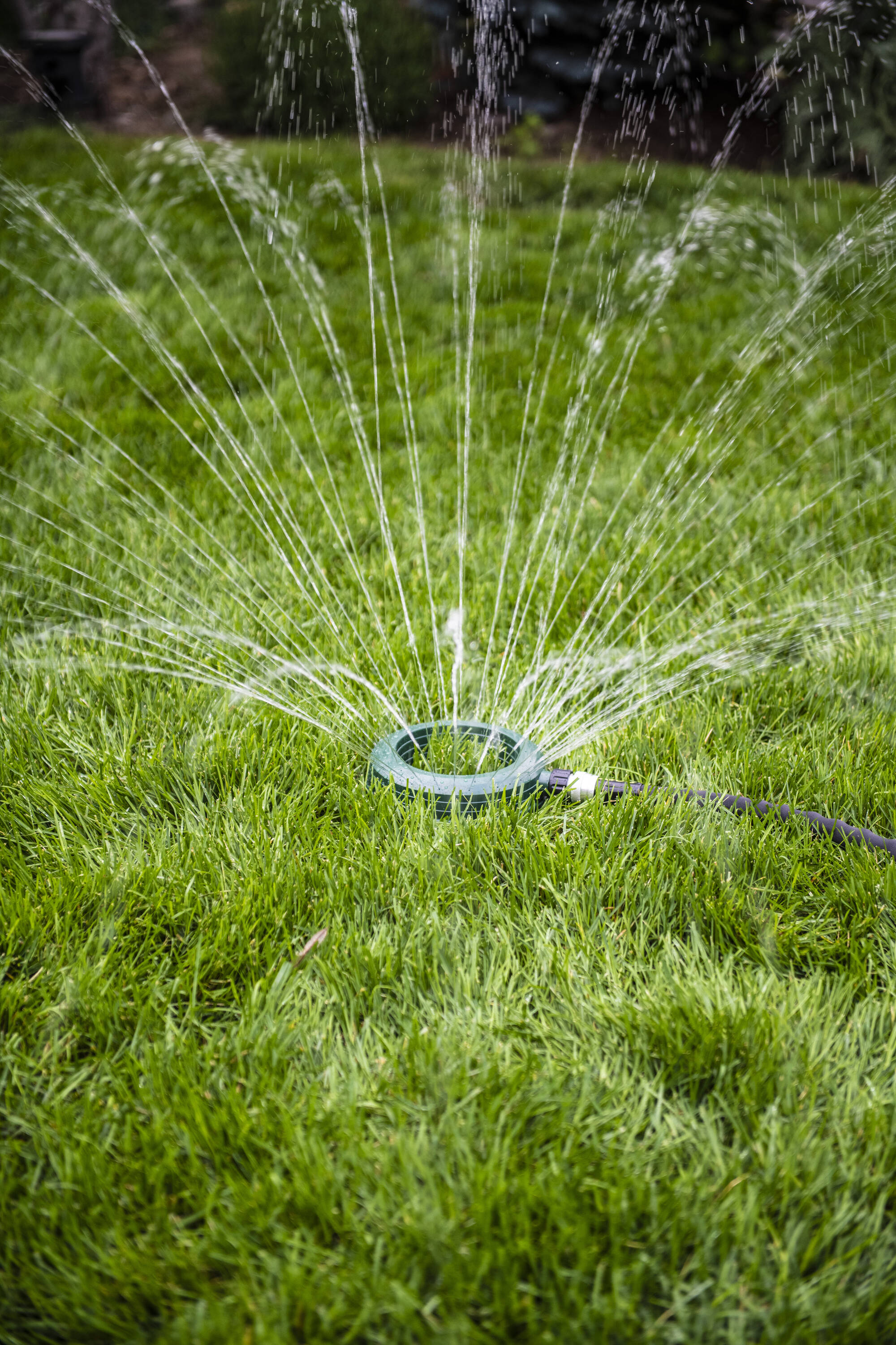 Yardsmith 8803 sprinklers - View #5