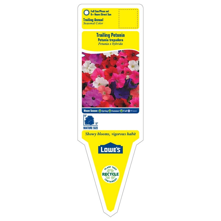 Lowe's 912346 annuals - View #2