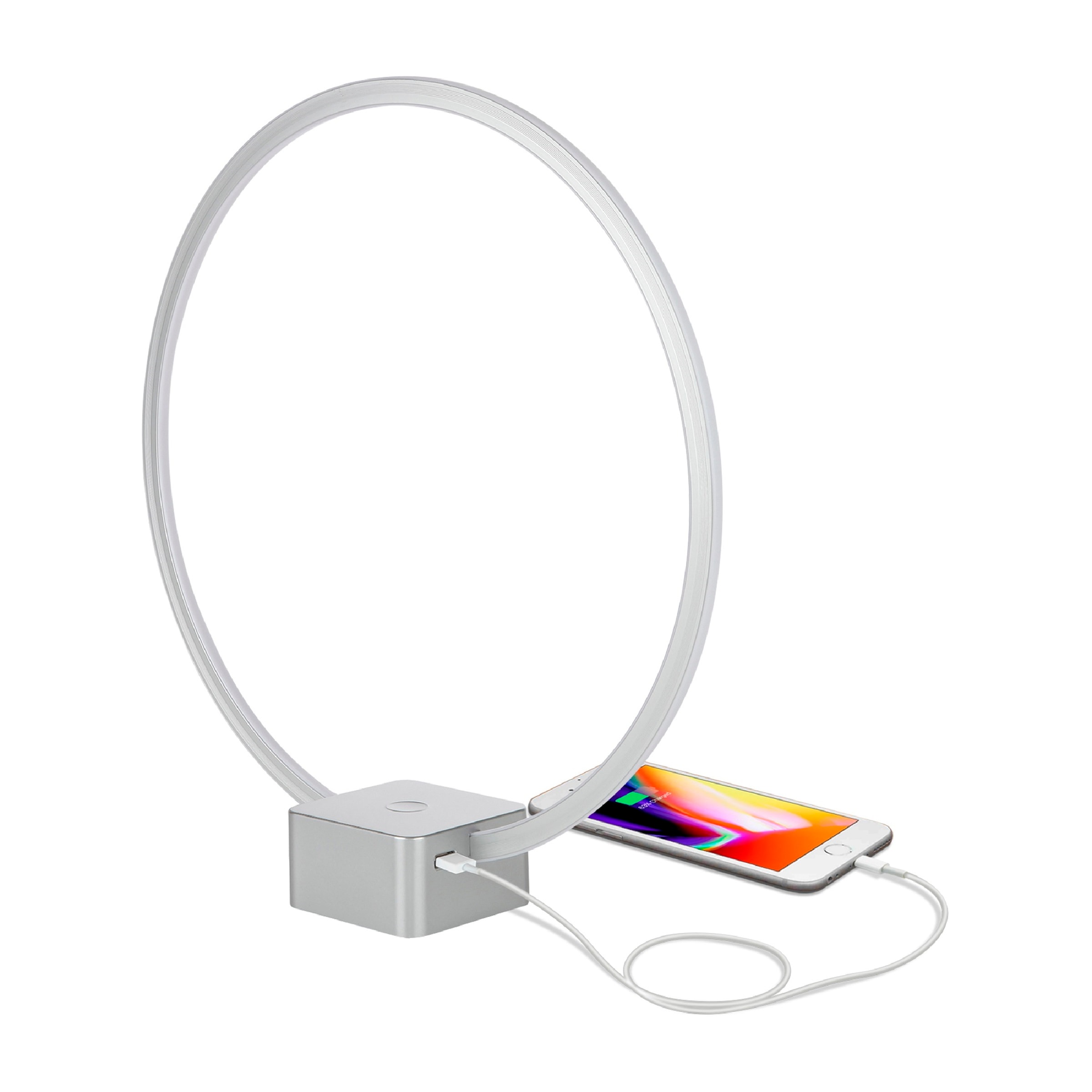 Platinum Silver Modern LED Desk Lamp with USB Port